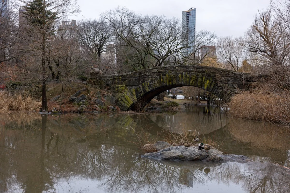 The Collector's New York - New York City, USA