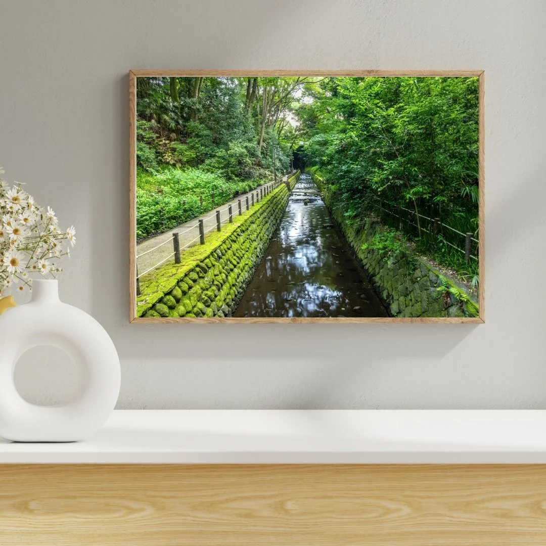 Fern-Lined-Canyon-WallsThumbnail-2.jpg