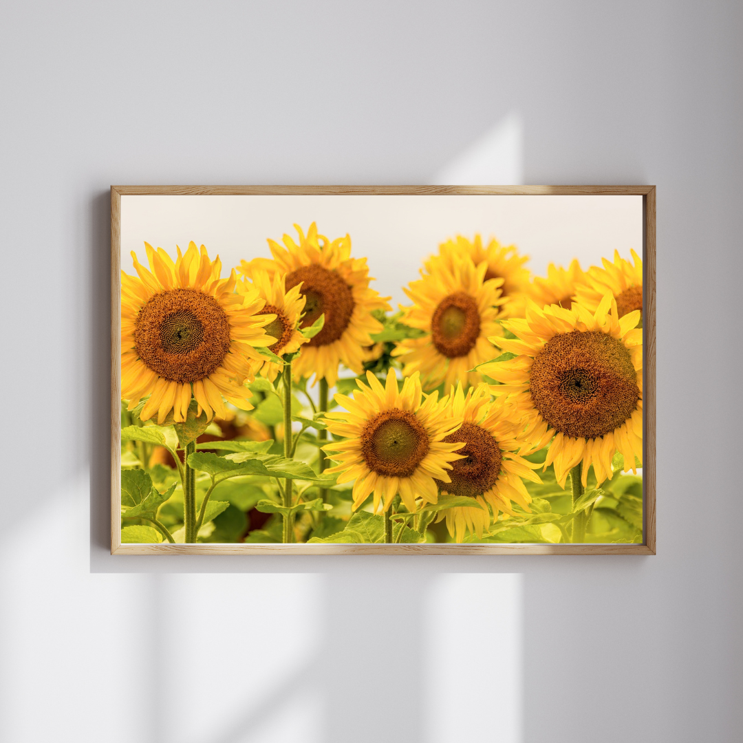 A-Tapestry-of-Golden-Crowns18x12Thumbnail-3.png