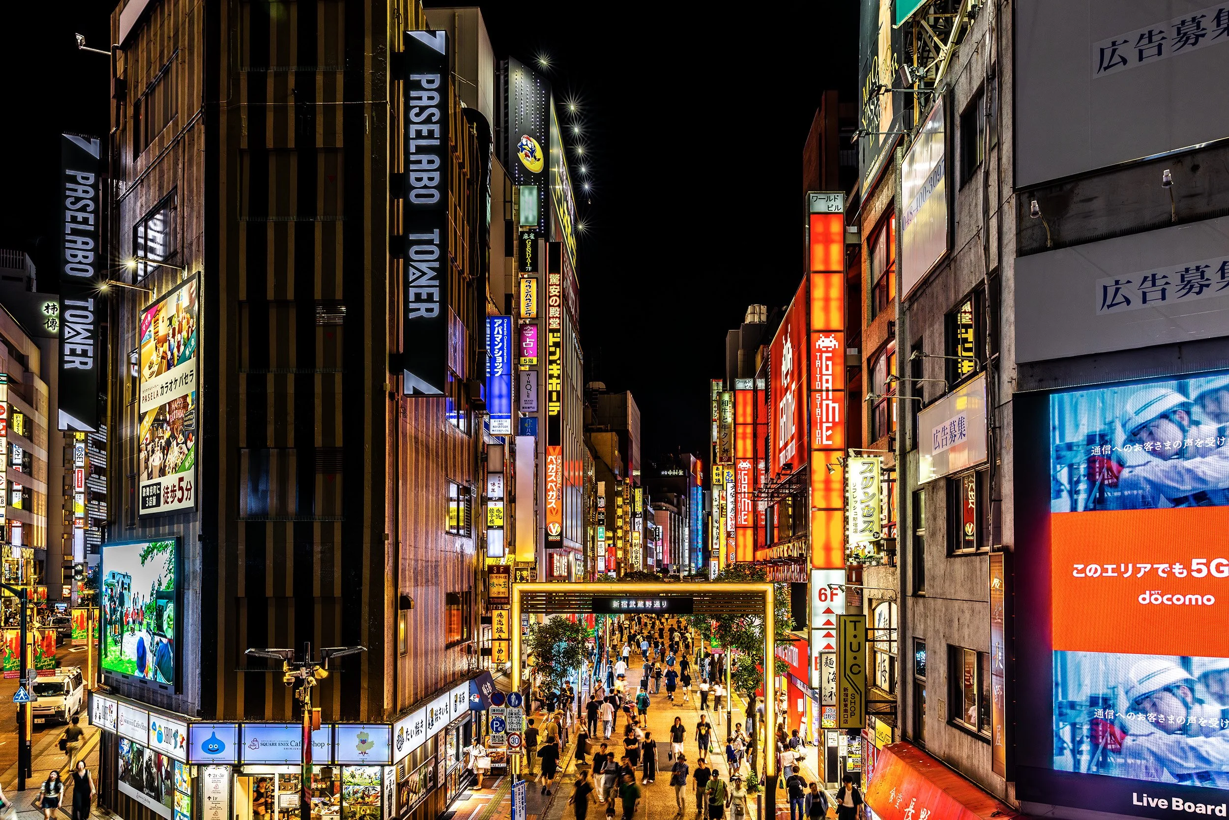 The Electric Canopy - Tokyo, Japan
