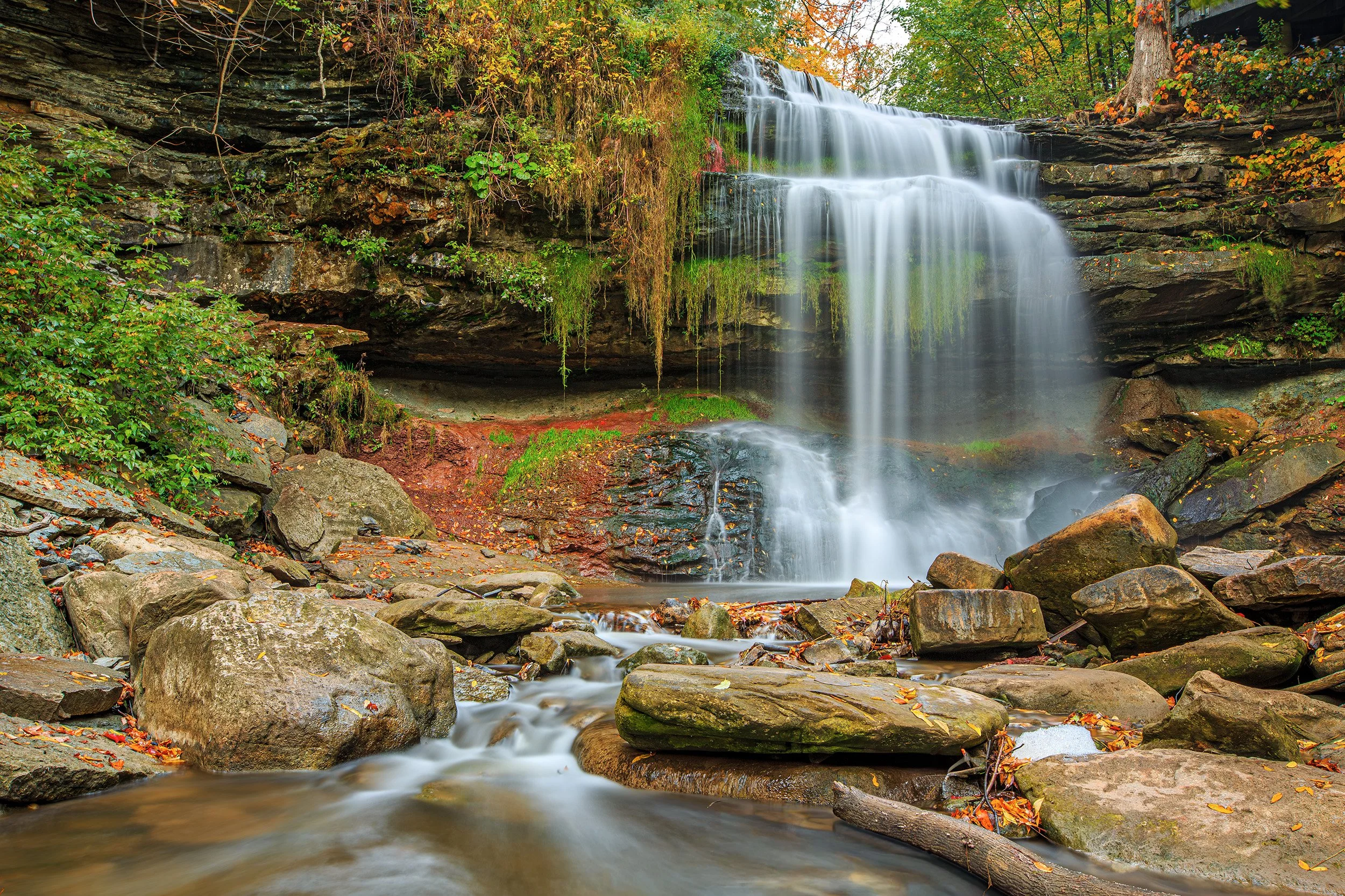 Autumn Amphitheatre Elegance - Hamilton, Ontario
