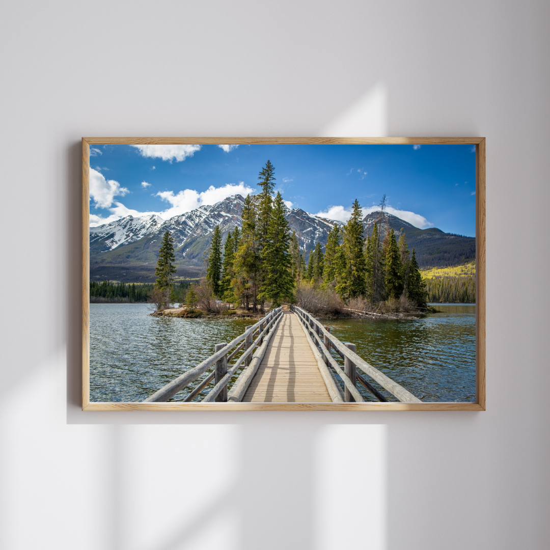 The-Wooden-Boardwalk-AxisThumbnail-1.png