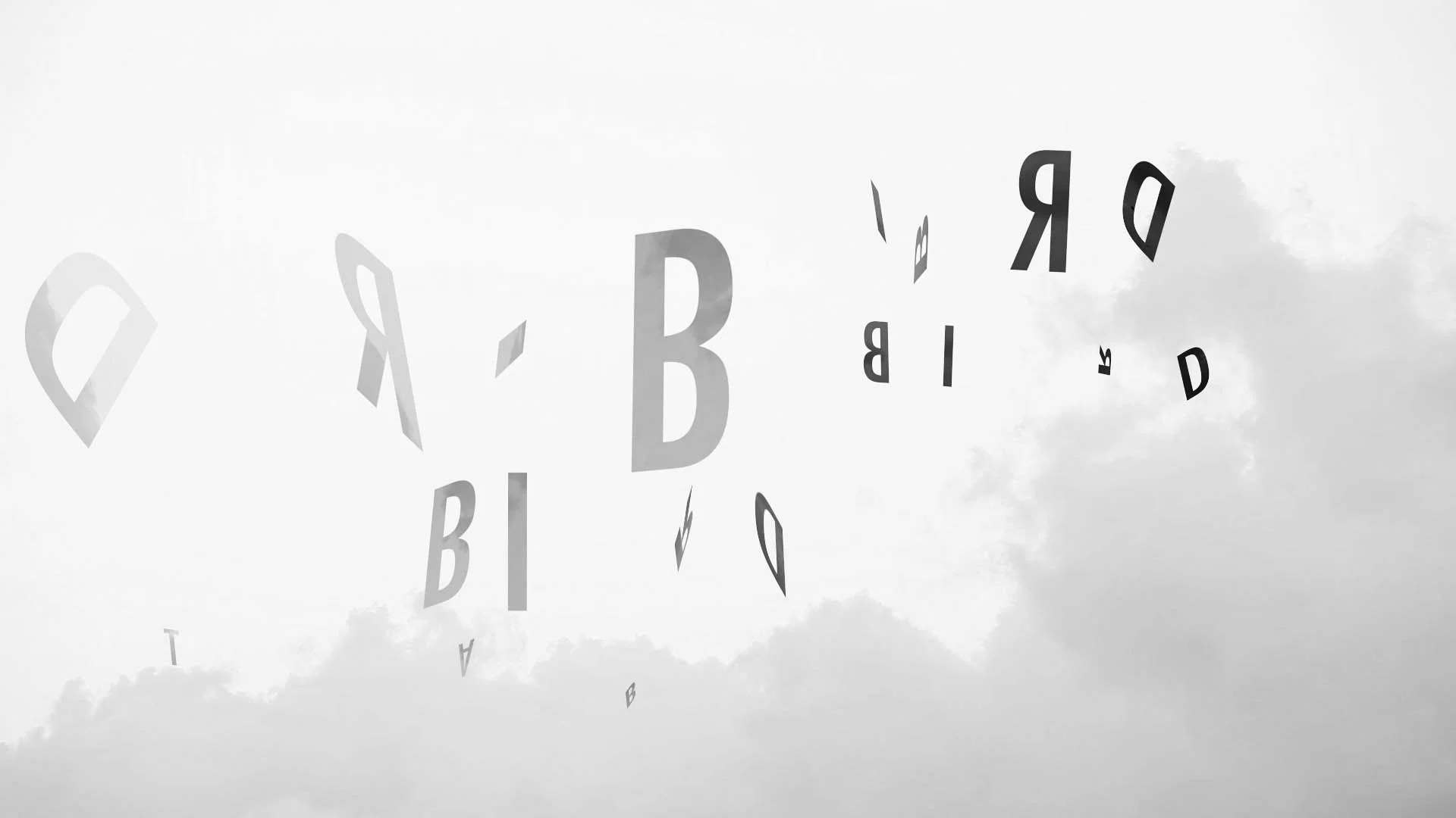 reverse_dusk_4.mp4.00_00_24_10.Still001 copy.jpg