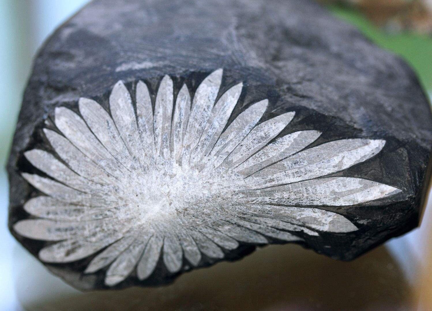 Chrysanthemum stone (1).jpg