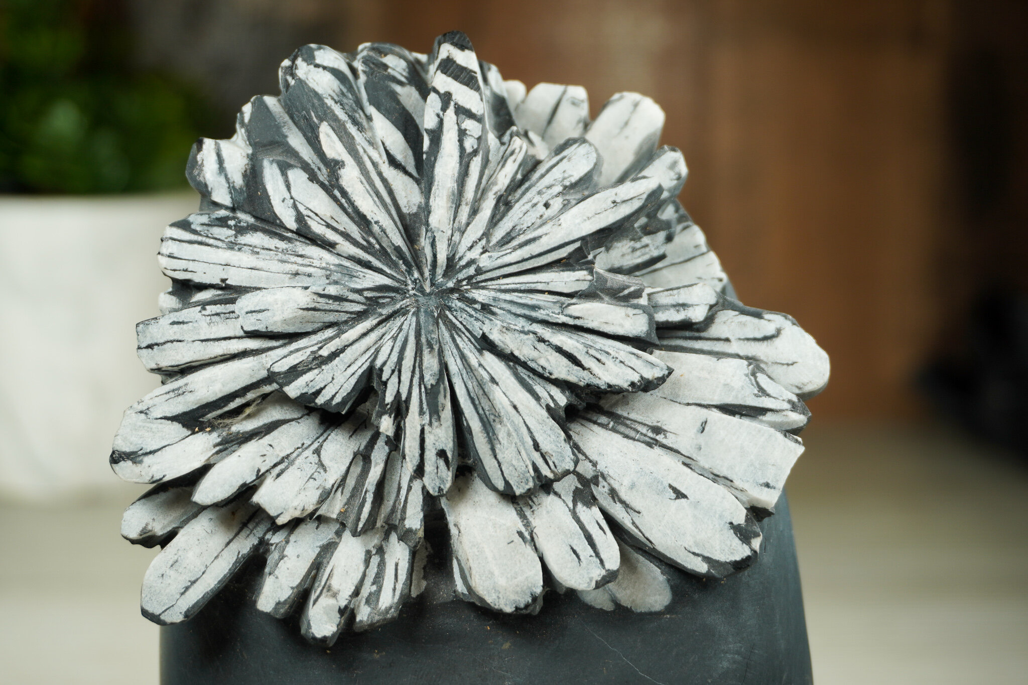 CHRYSANTHEMUM STONE