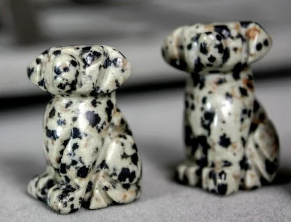 DALMATIAN JASPER