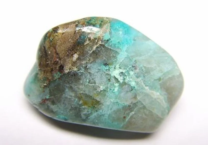 QUANTUM  QUATTRO4.jpg