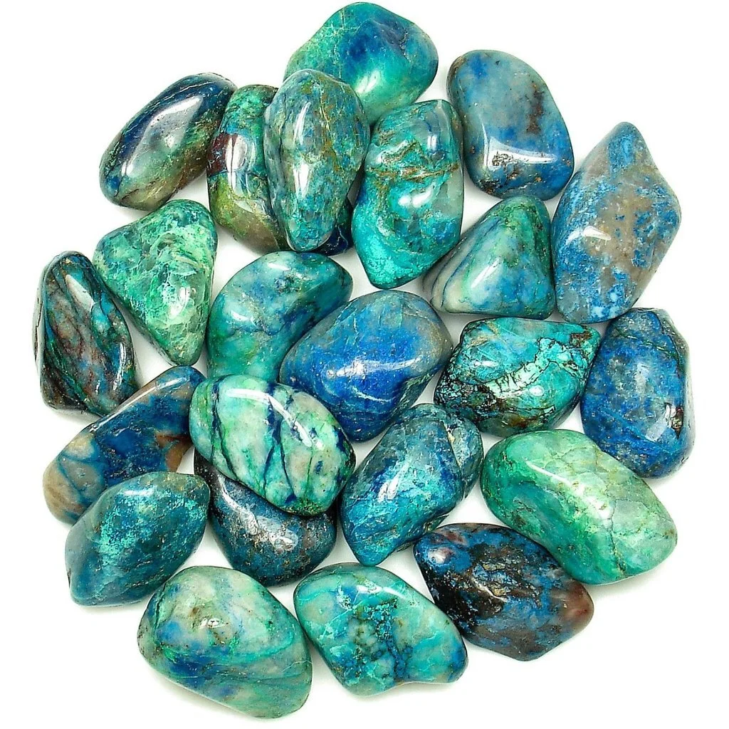 QUANTUM  QUATTRO2.jpg