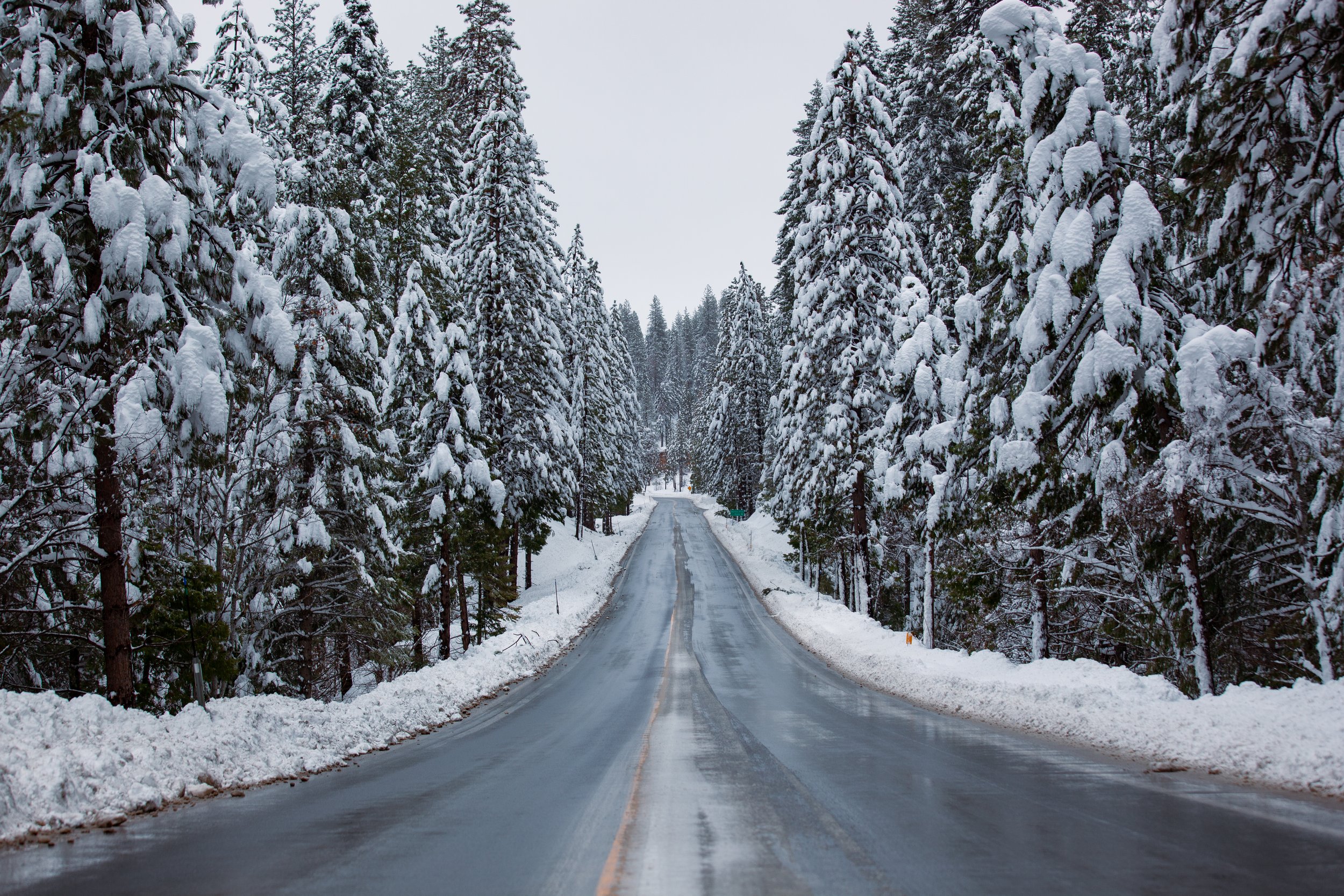 Yosemite is the place of heaven and it was snowing so roads were closed. This picture was captured around 15 miles before the main park.