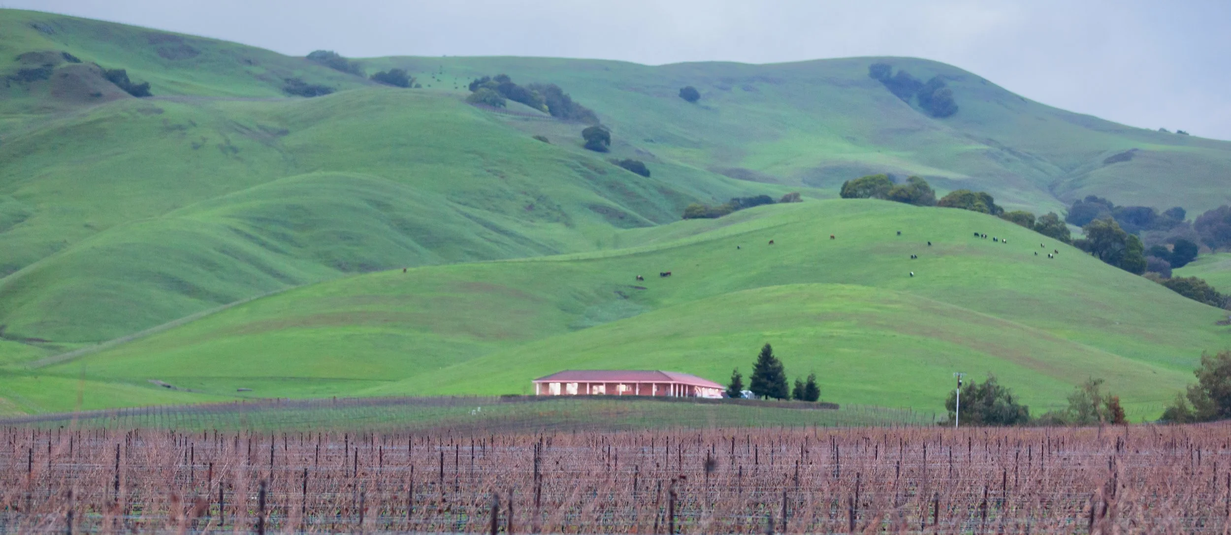 This place is near Napa and the greenery with big home is so beautiful.