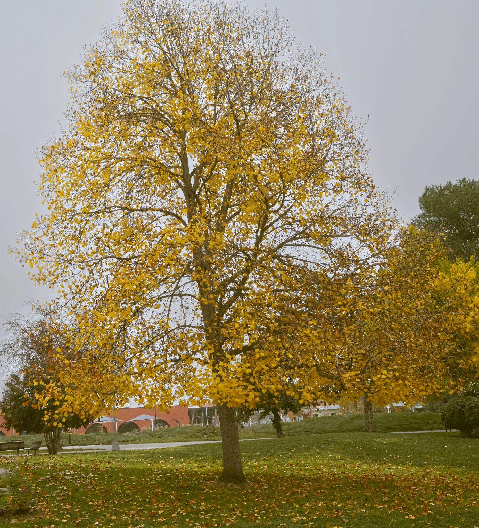 _DSC5657.jpg