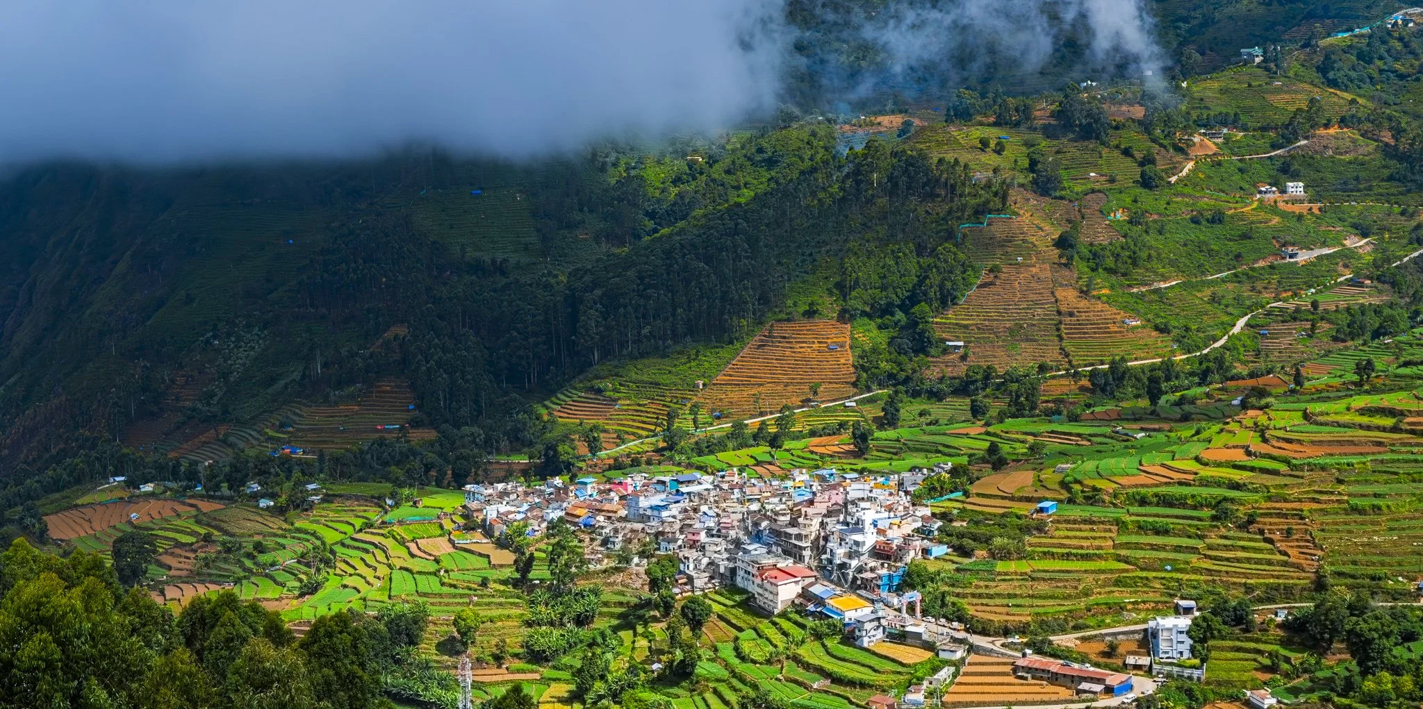 Kodai - Tamilnadu