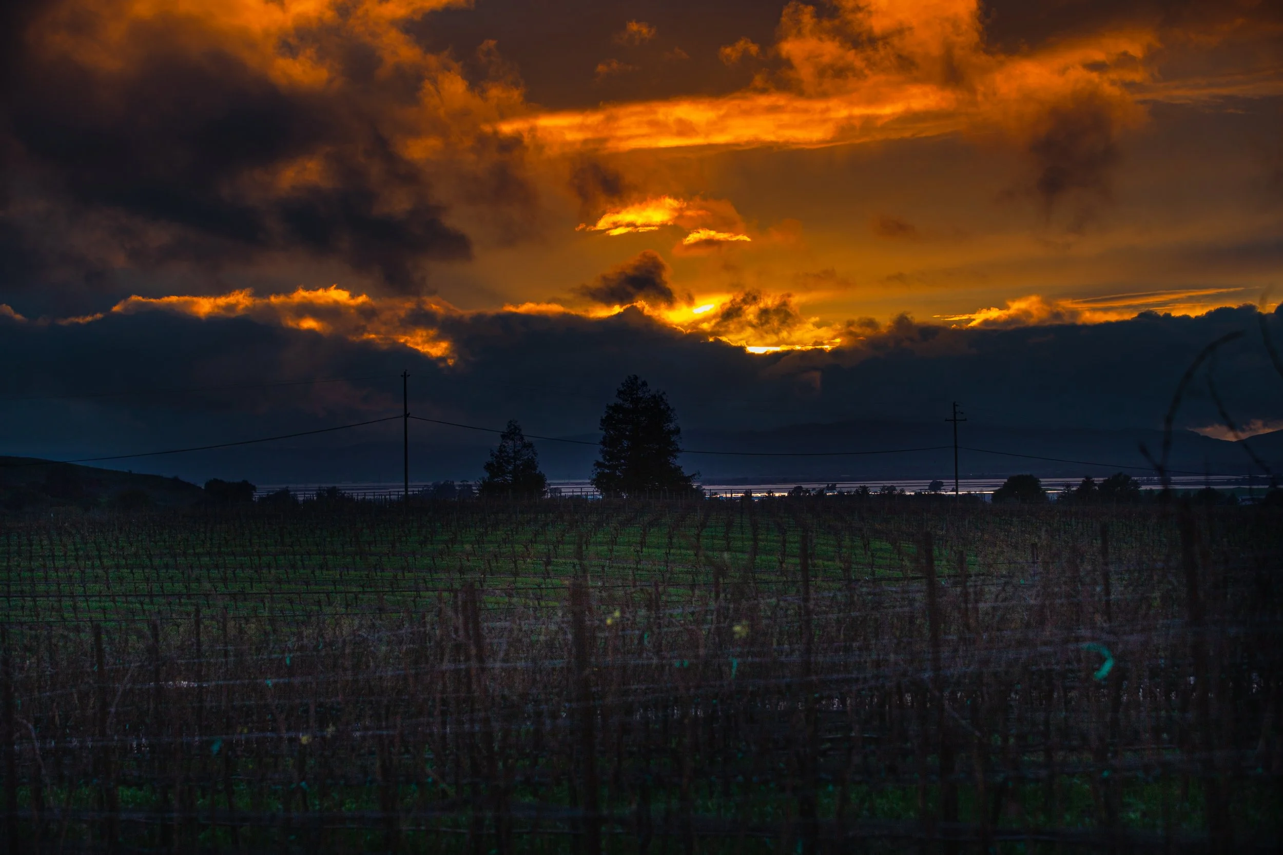 Napa is beautiful wineyard city and always wants to capture the beauty of the winenary with the sunset.