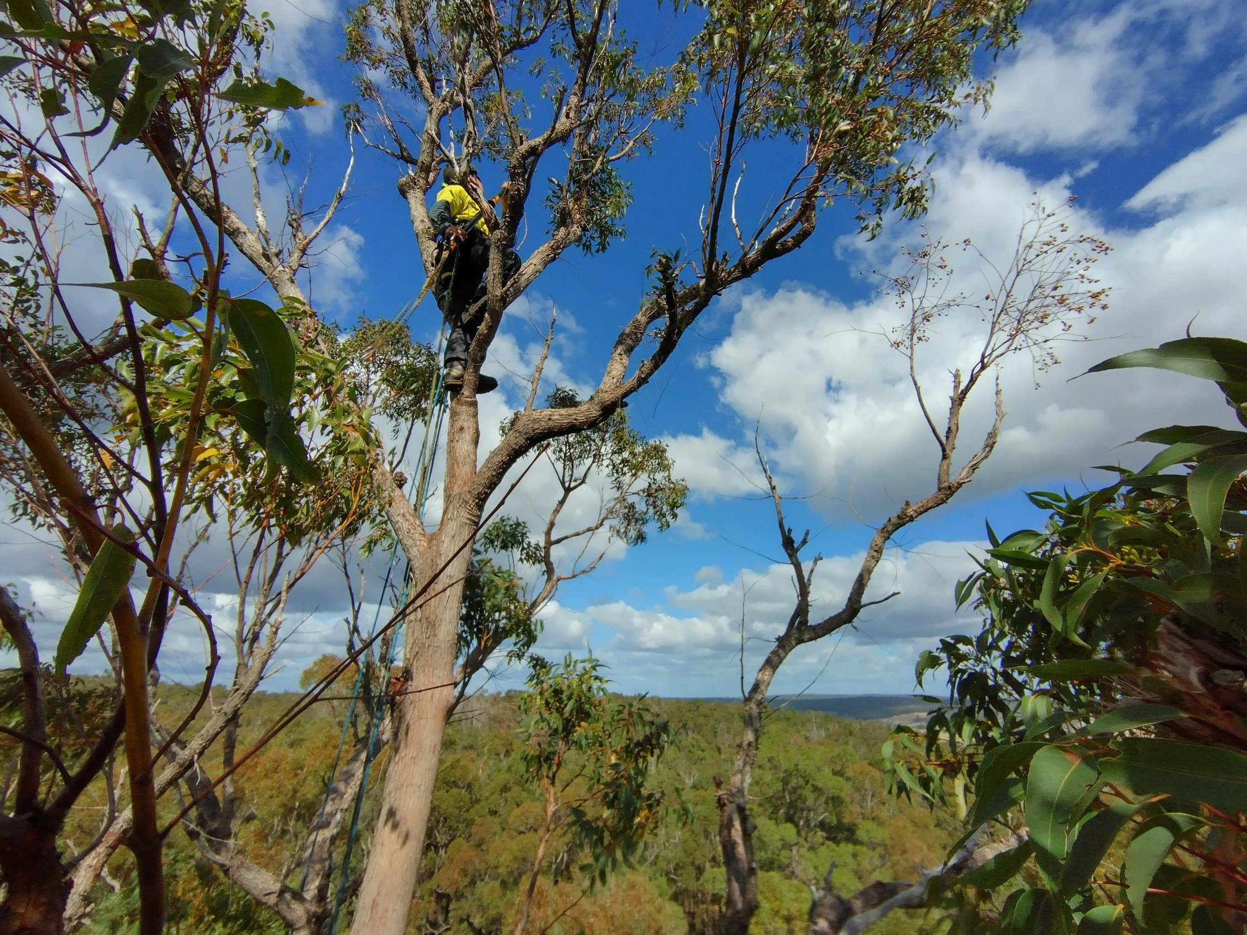 EMU Environmental Services