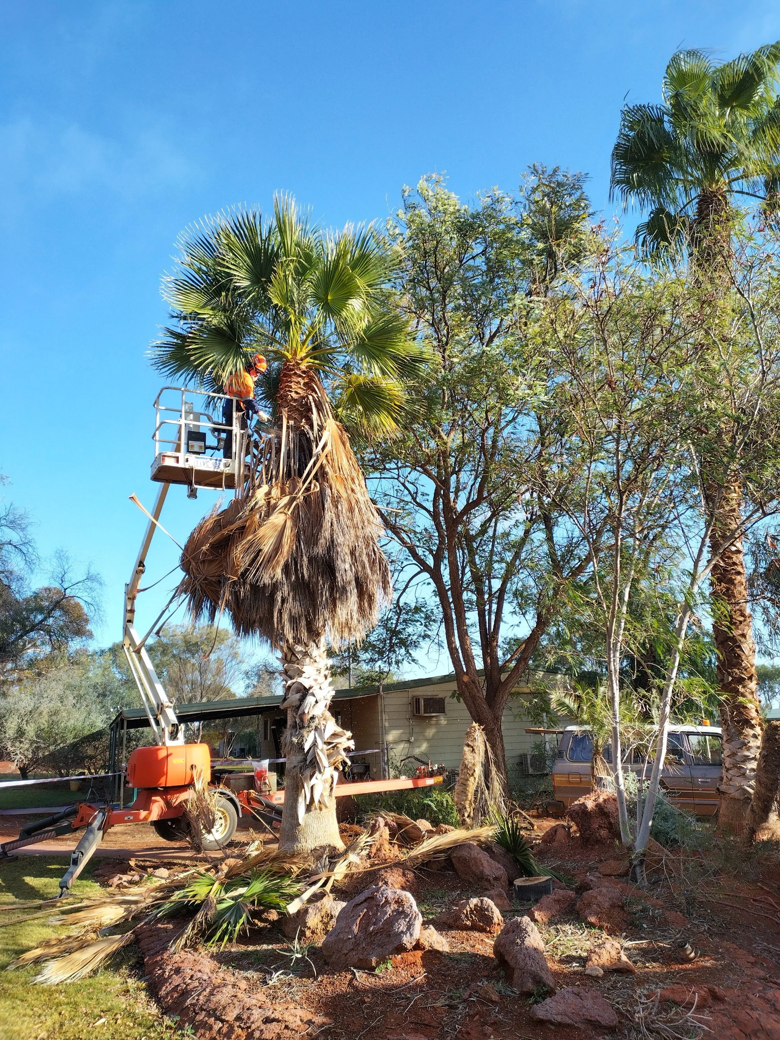 EMU Environmental Services