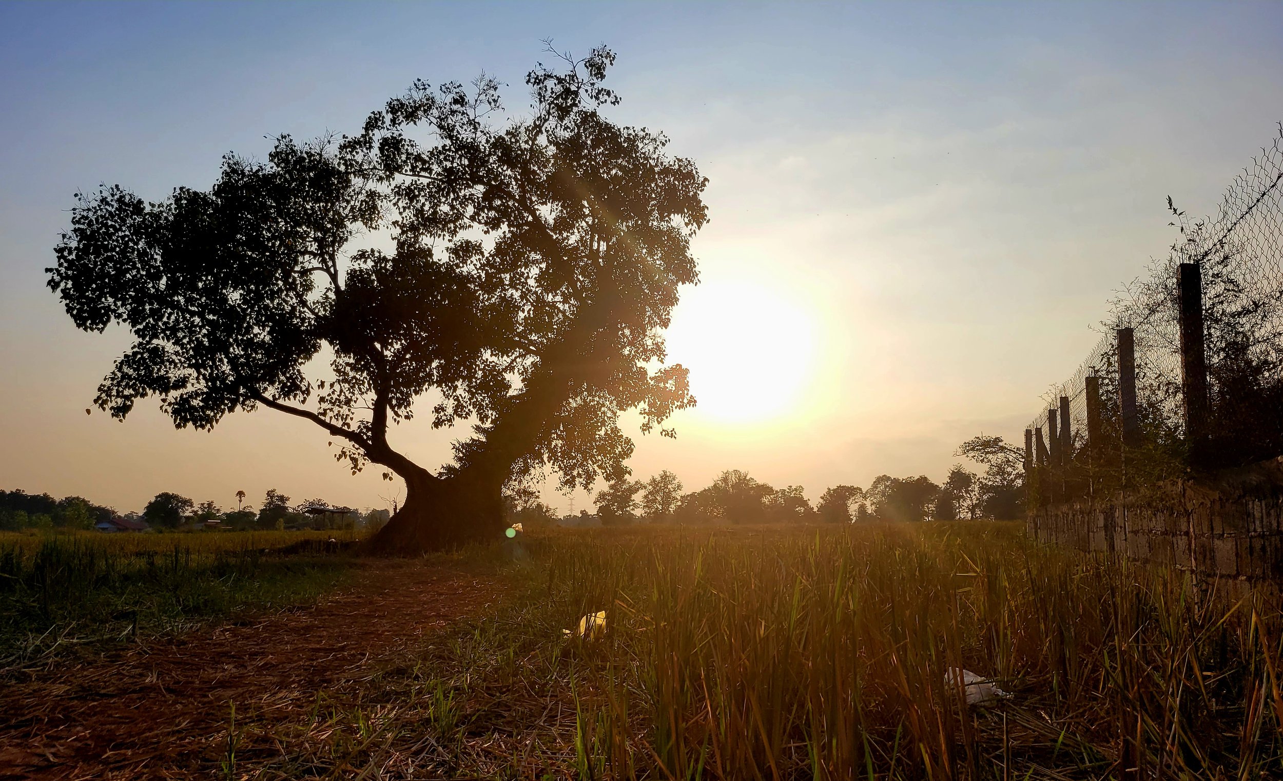 Stories from the Field: Diverse usage patterns of Digital Financial Services in Laos 