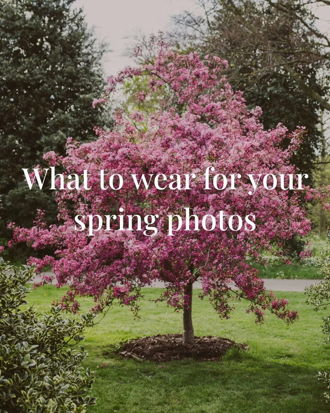 The biggest outfit mistake I see isn&rsquo;t choosing the wrong colours, it&rsquo;s wearing something that you *want* to be perfect&hellip; but that doesn&rsquo;t quite feel right when you move.

If you're preoccupied with any aspect of your outfit -