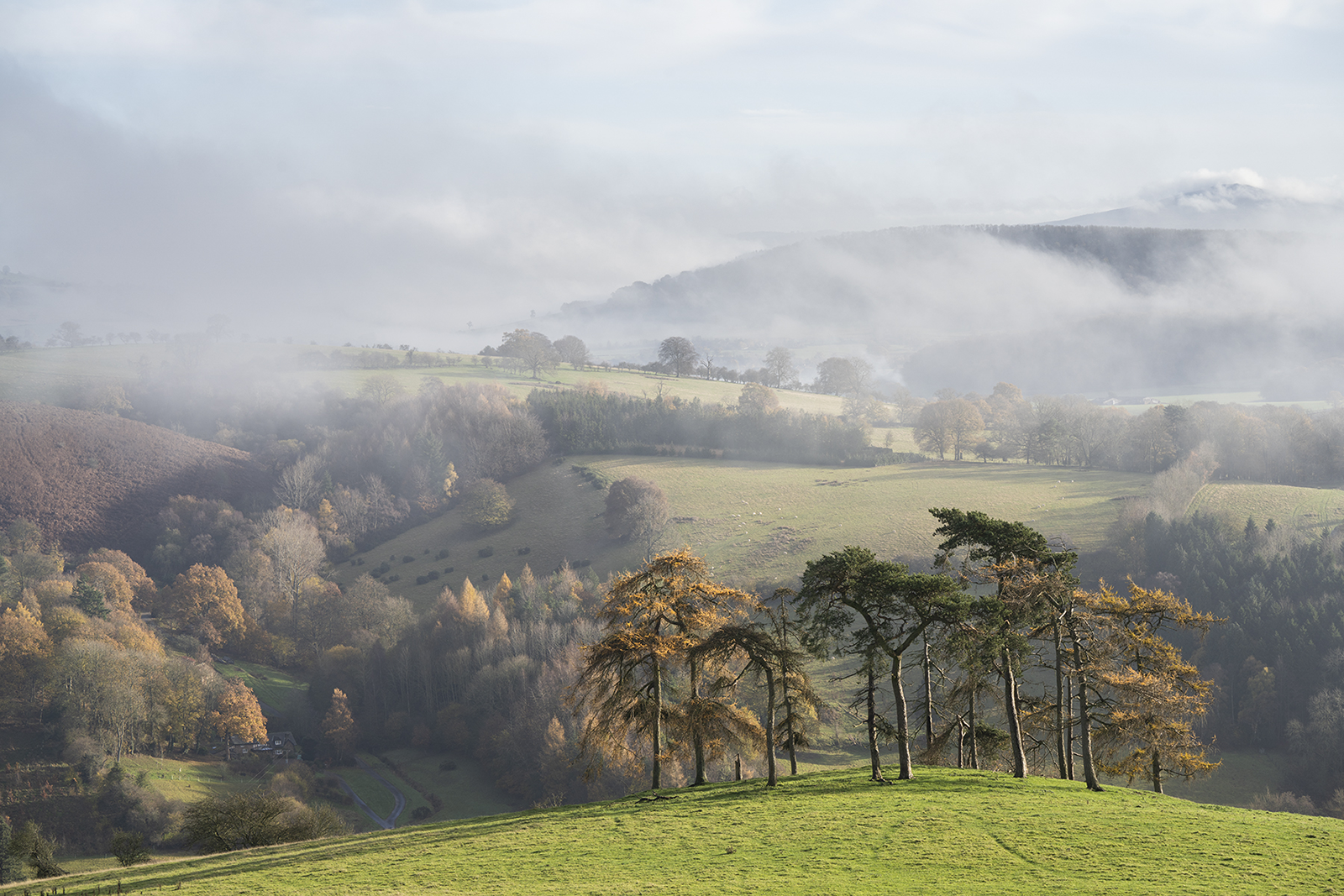 À La Carte Workshop-Starters. £995