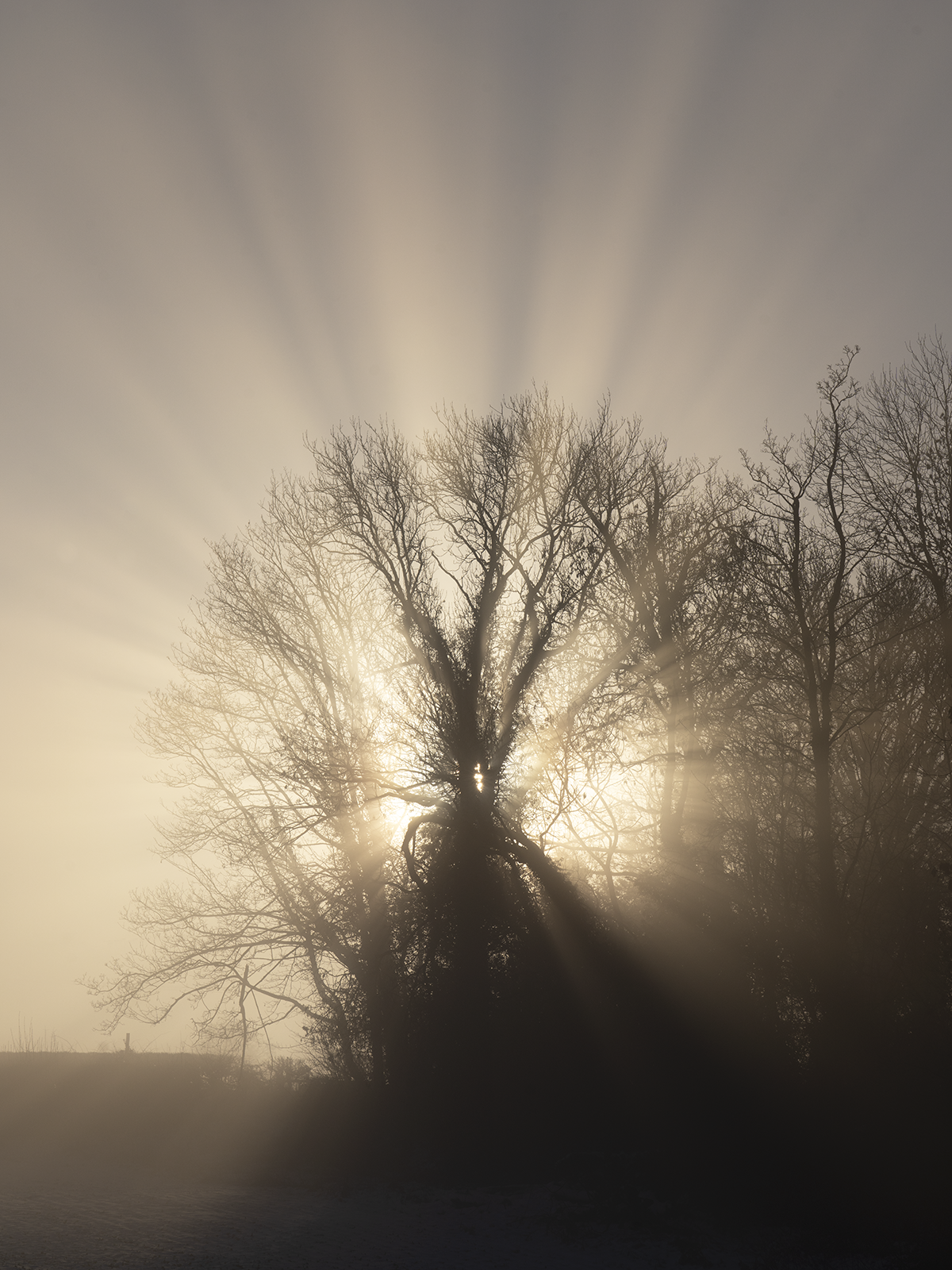 Local Project ep 25-71.png