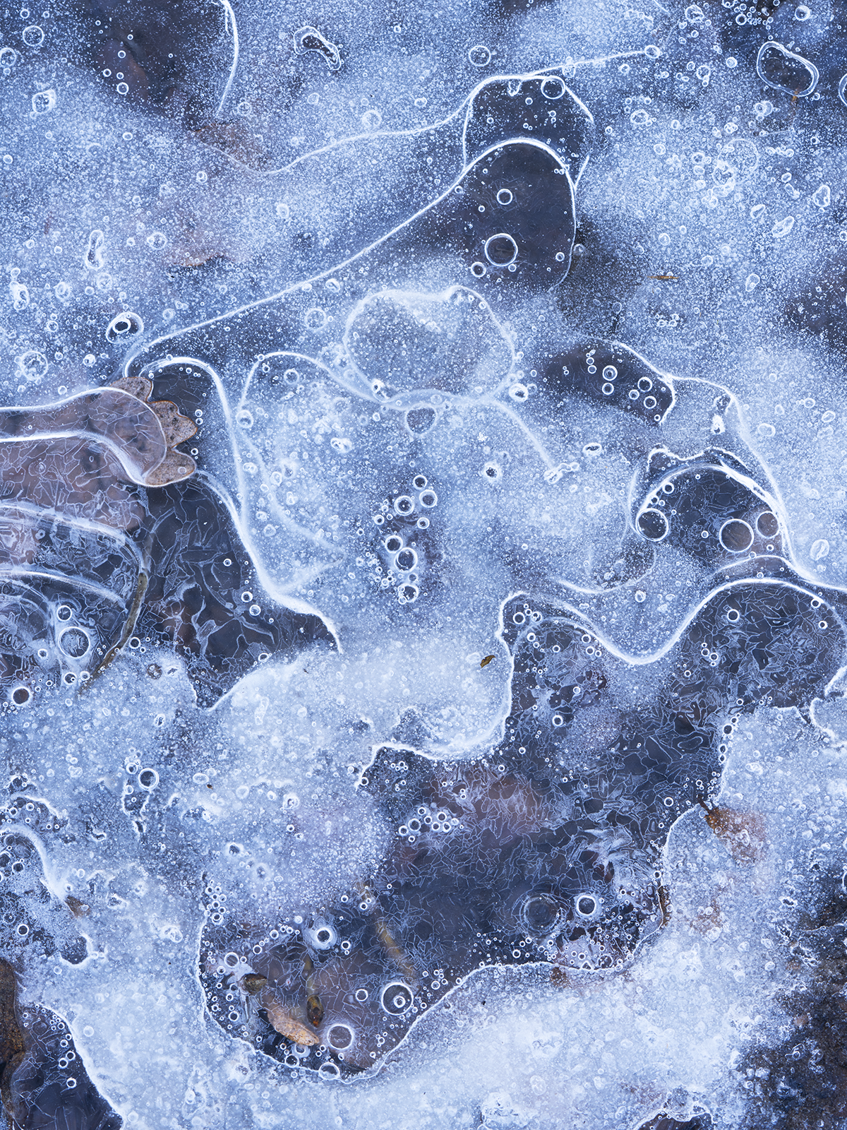 Local Project ep 25-99.png