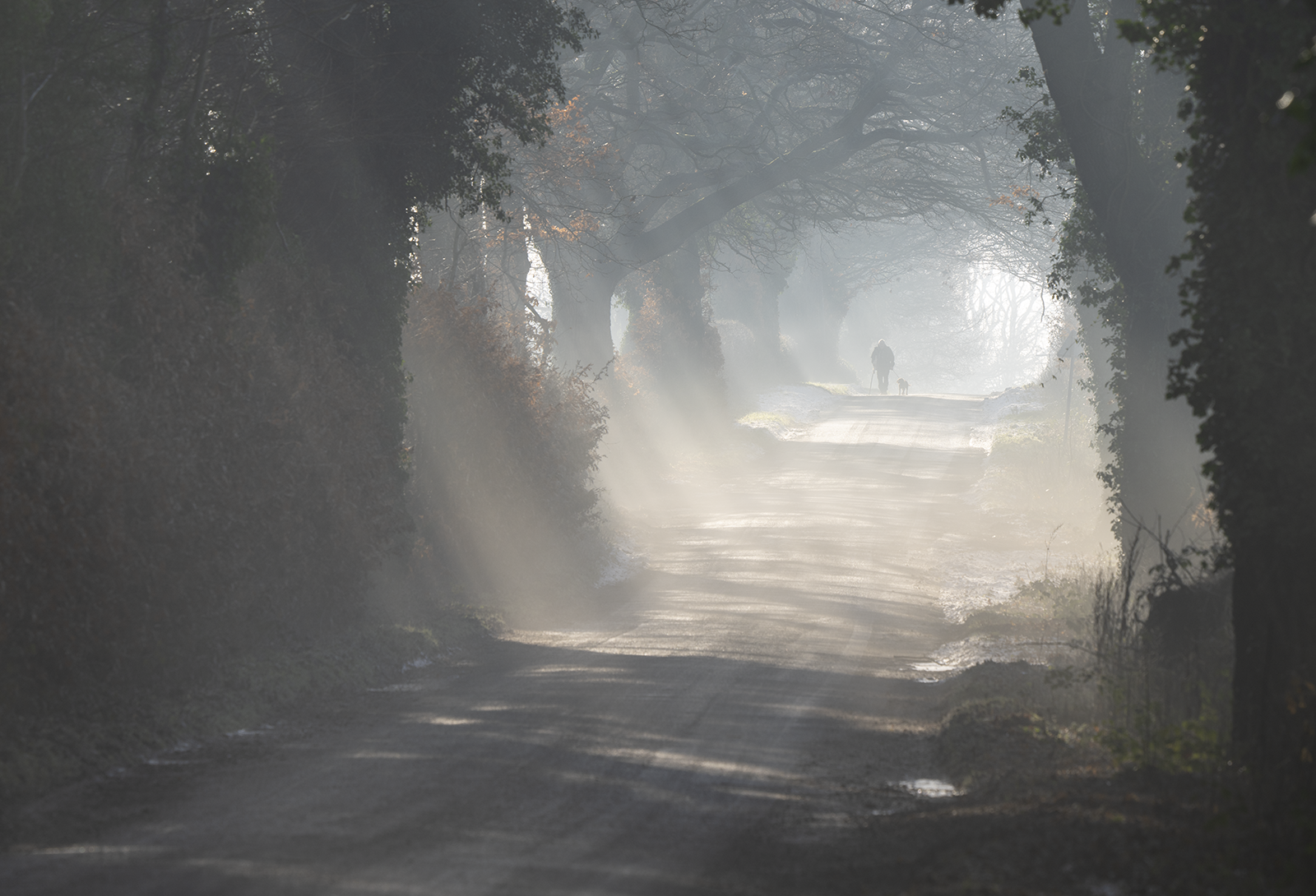 Local Project ep 25-94.png