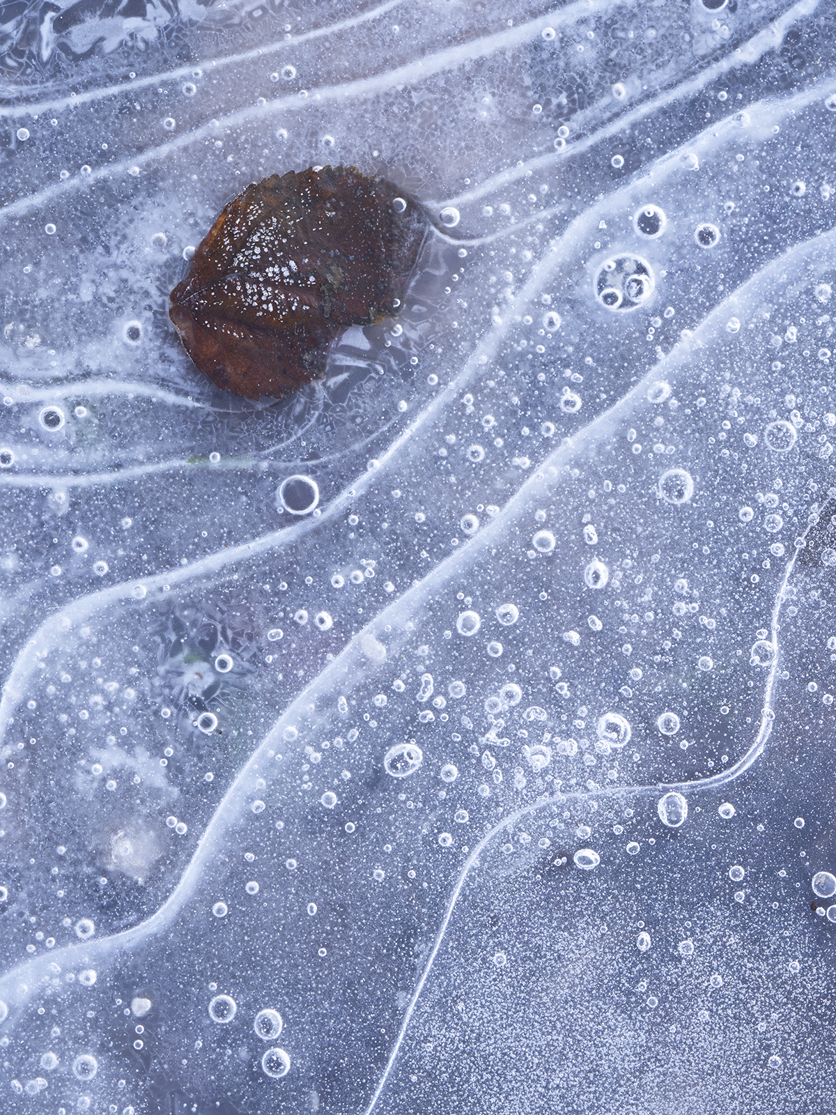 Local Project ep 25-87.png