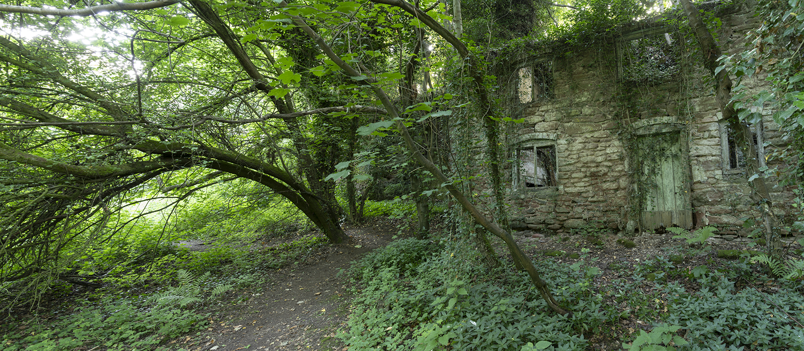 Summer Hideaway, Pearl Covert