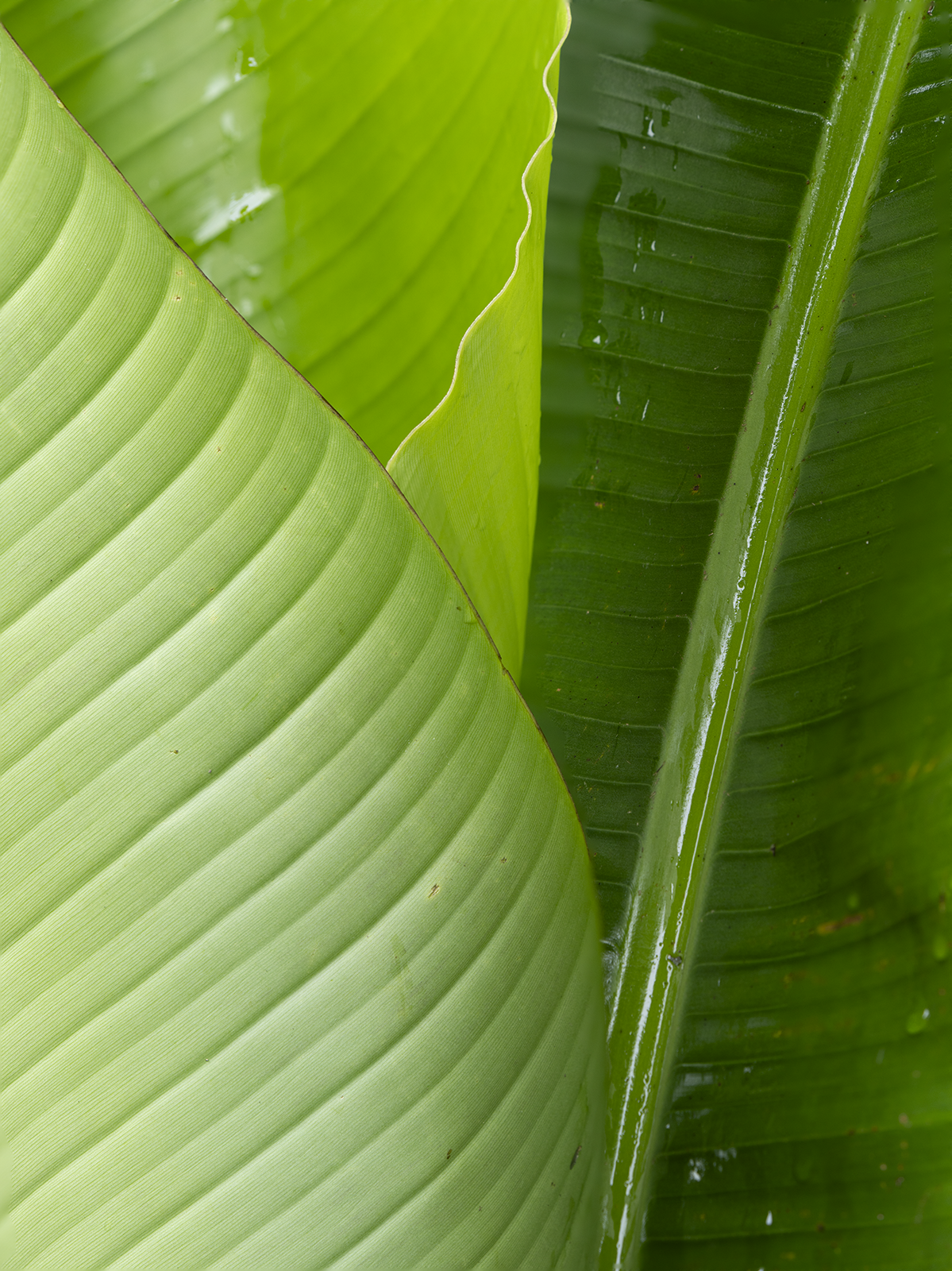 Engla7r-16955s.png