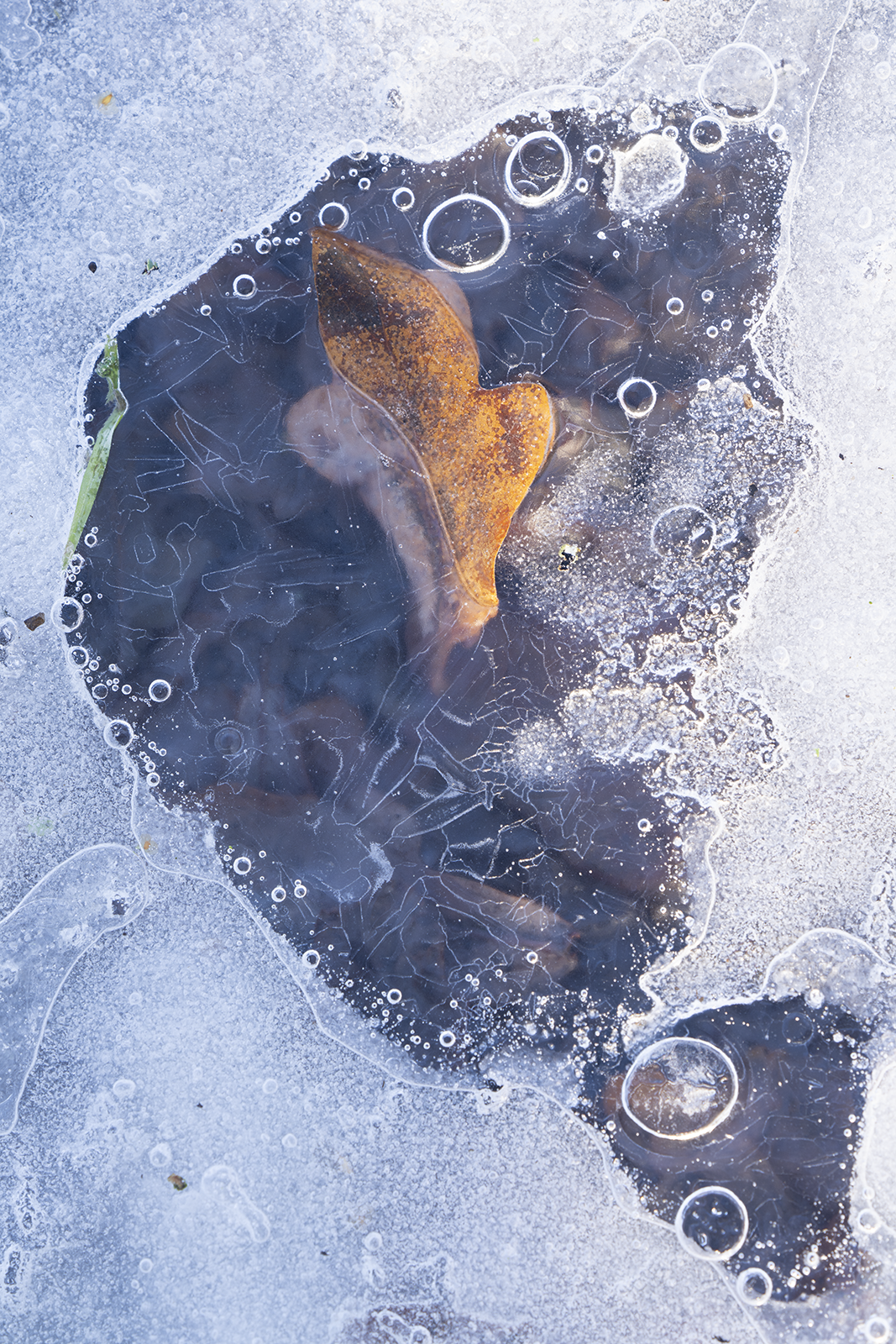 Local Project ep 25-95.png