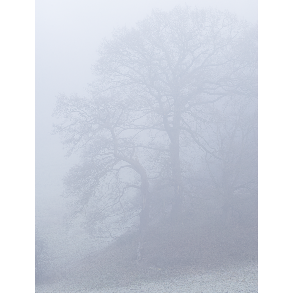 Winter Mist, Bridgnorth
