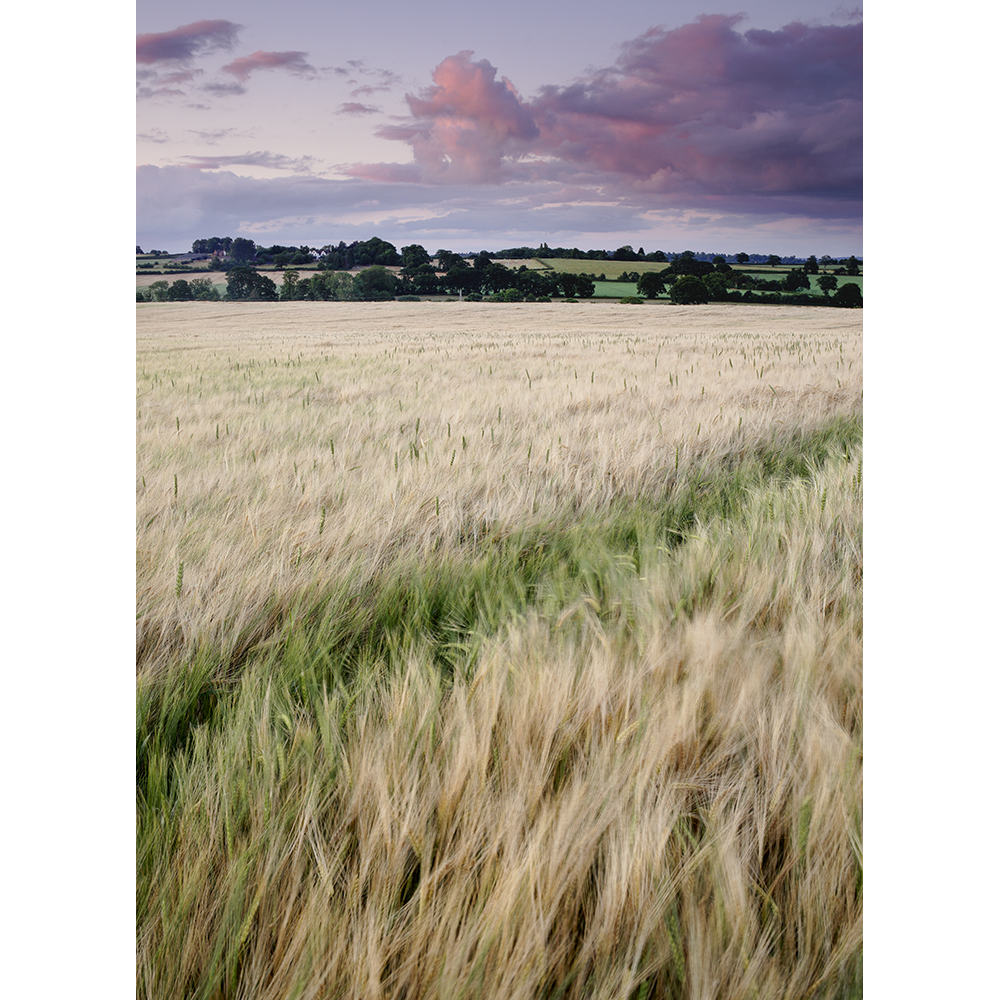 Crop marks, Tasley-312.png