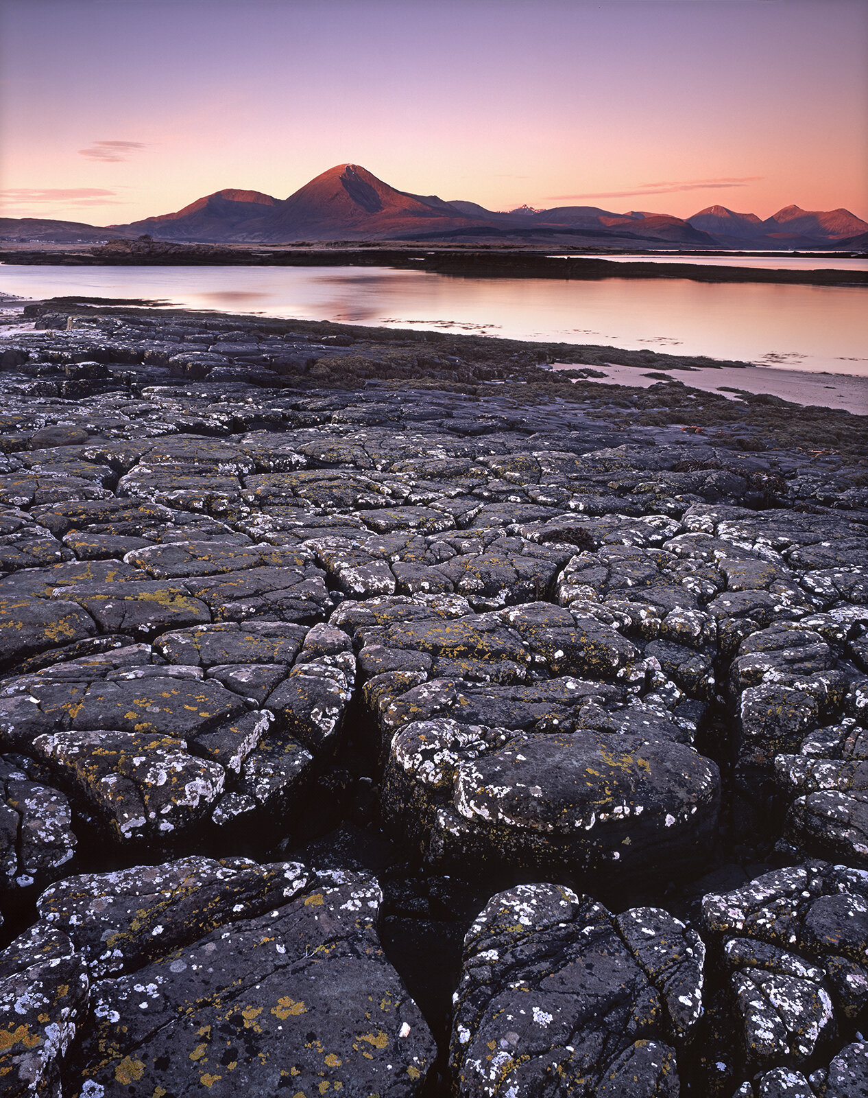Skye54195.jpg