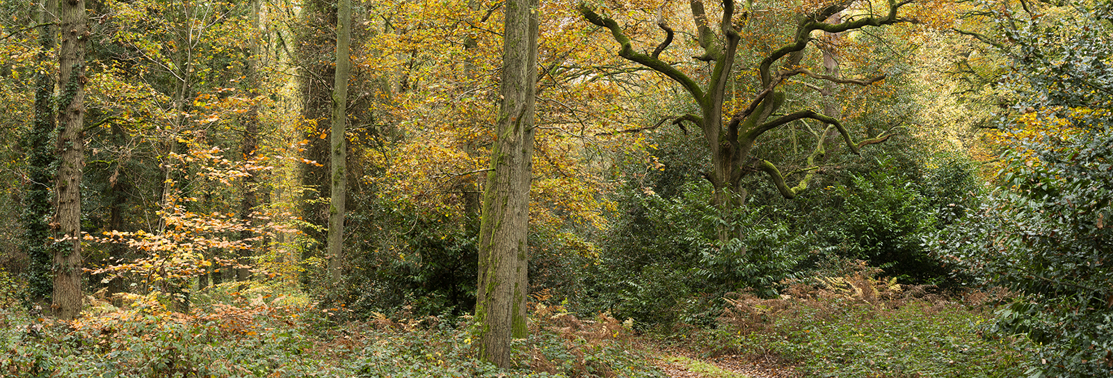 Local Project ep 25-15.png