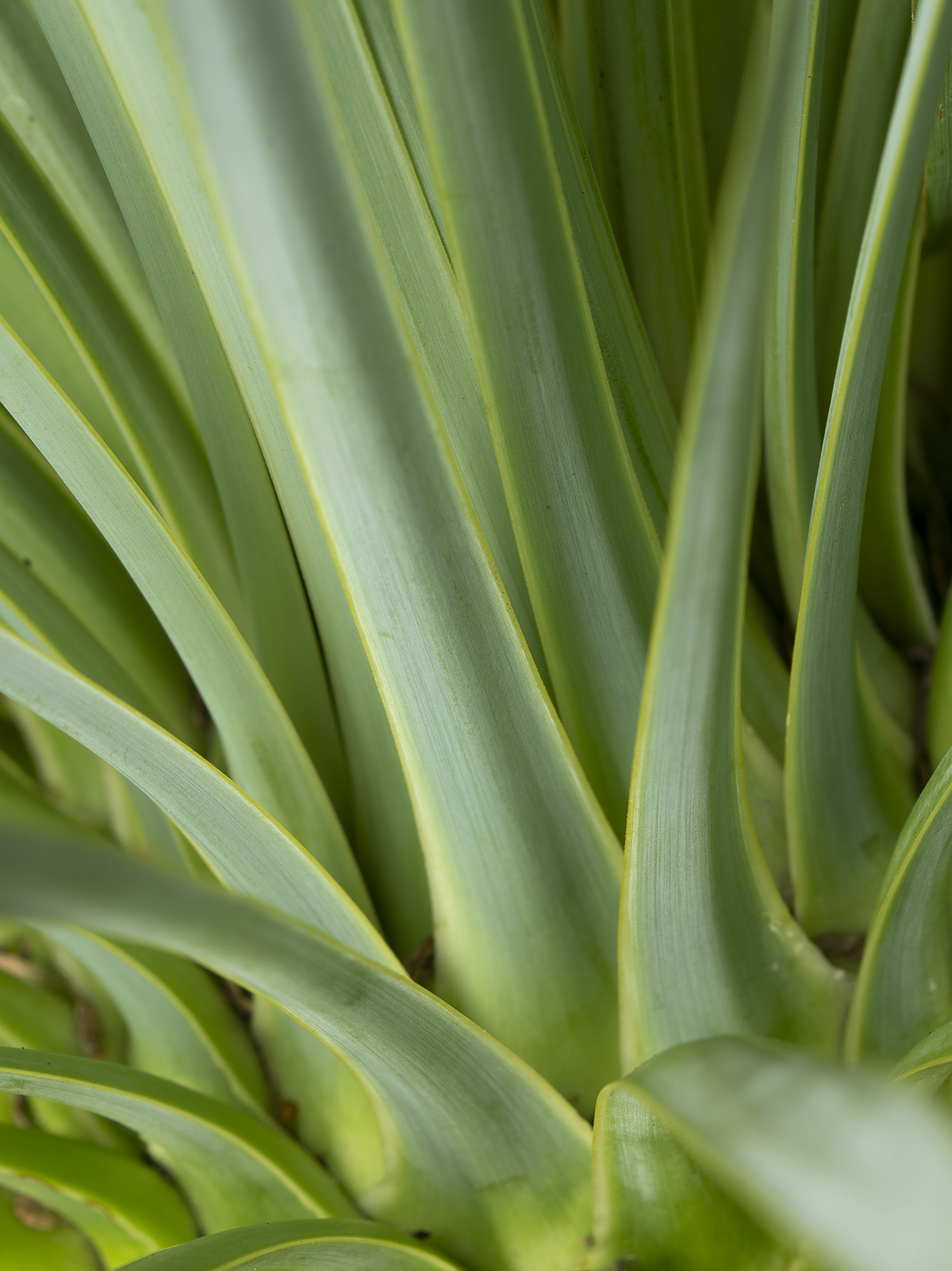 Local Project ep 25-105.png