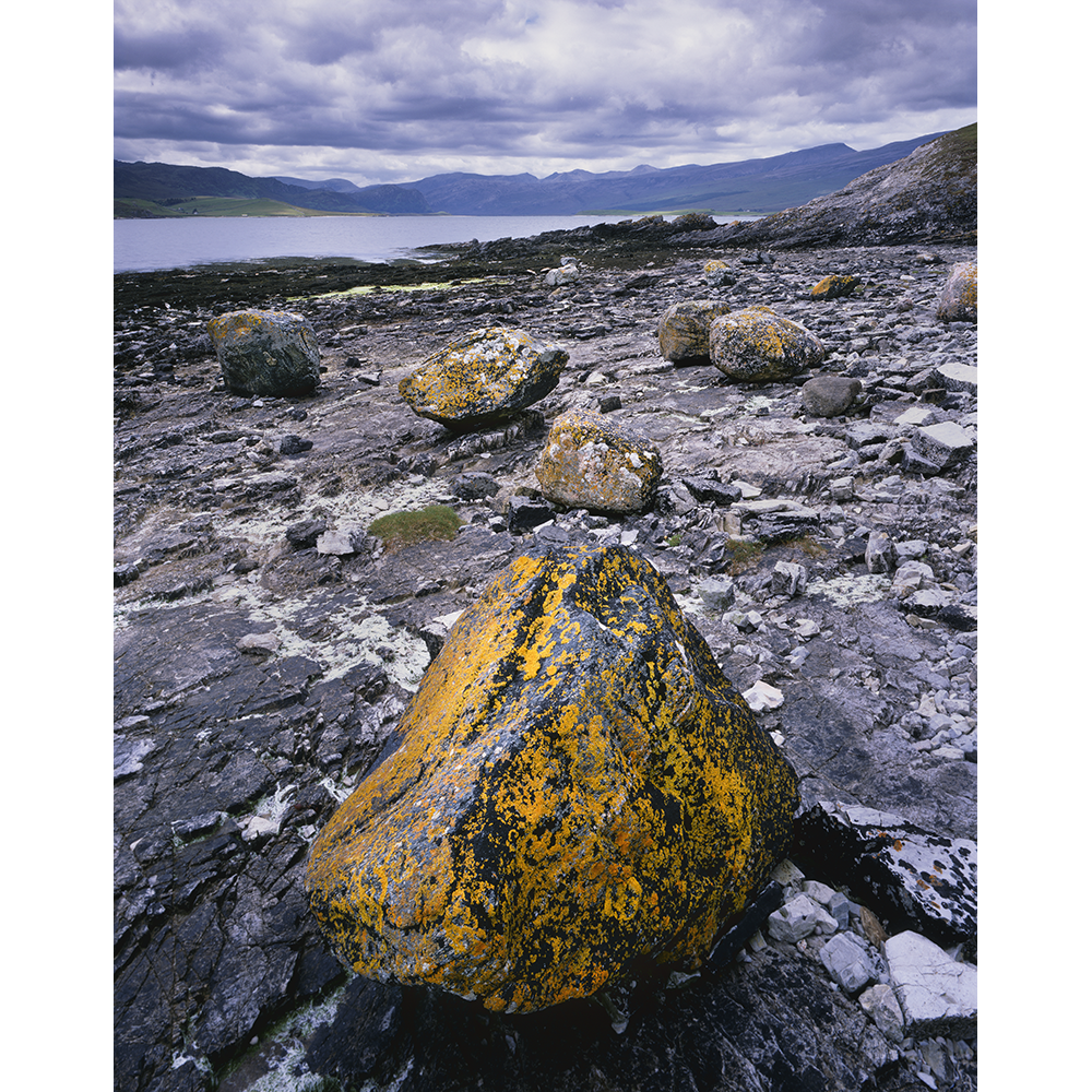 Erribol Erratics.png