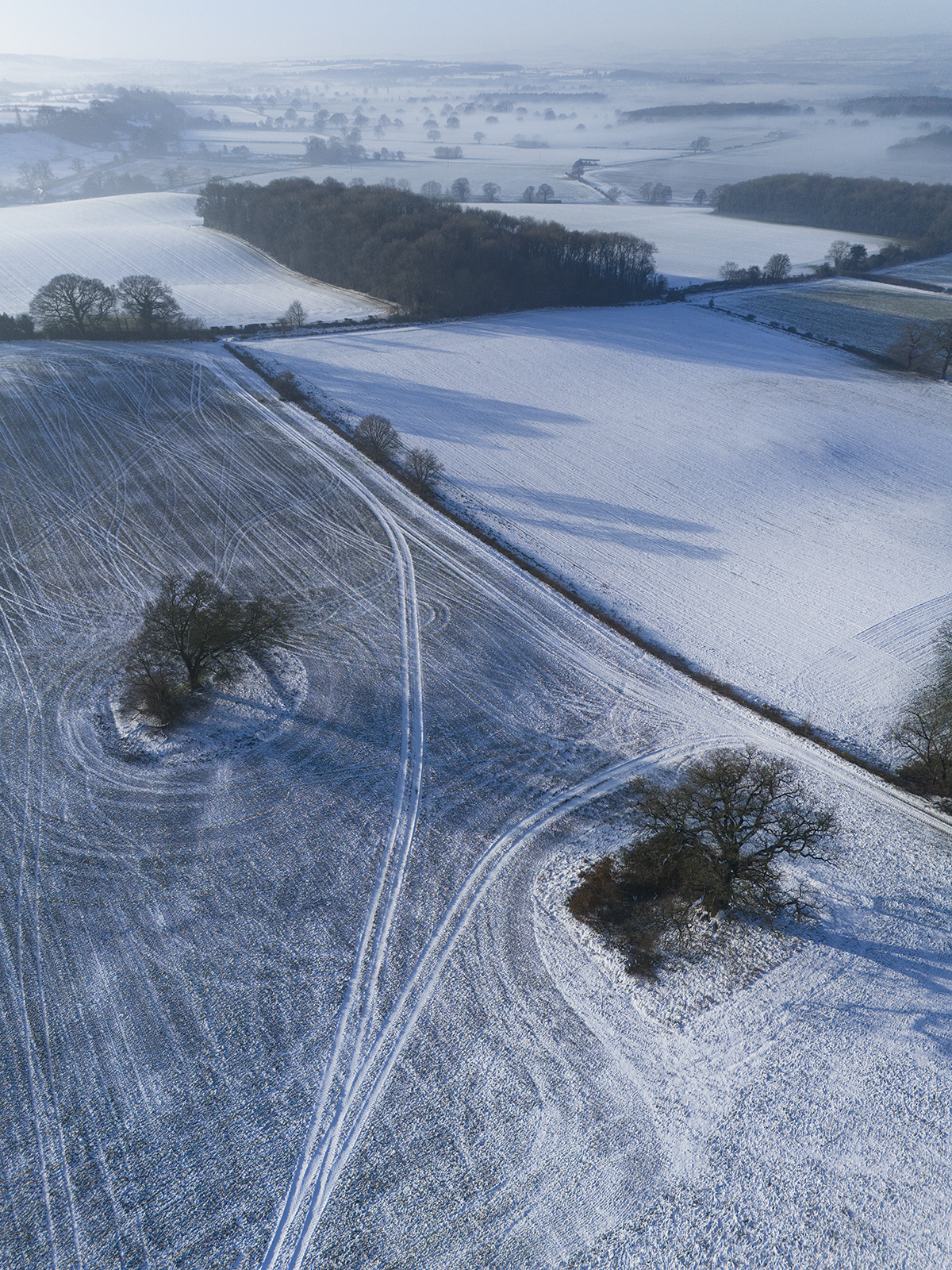 Local Project ep 25-85.png