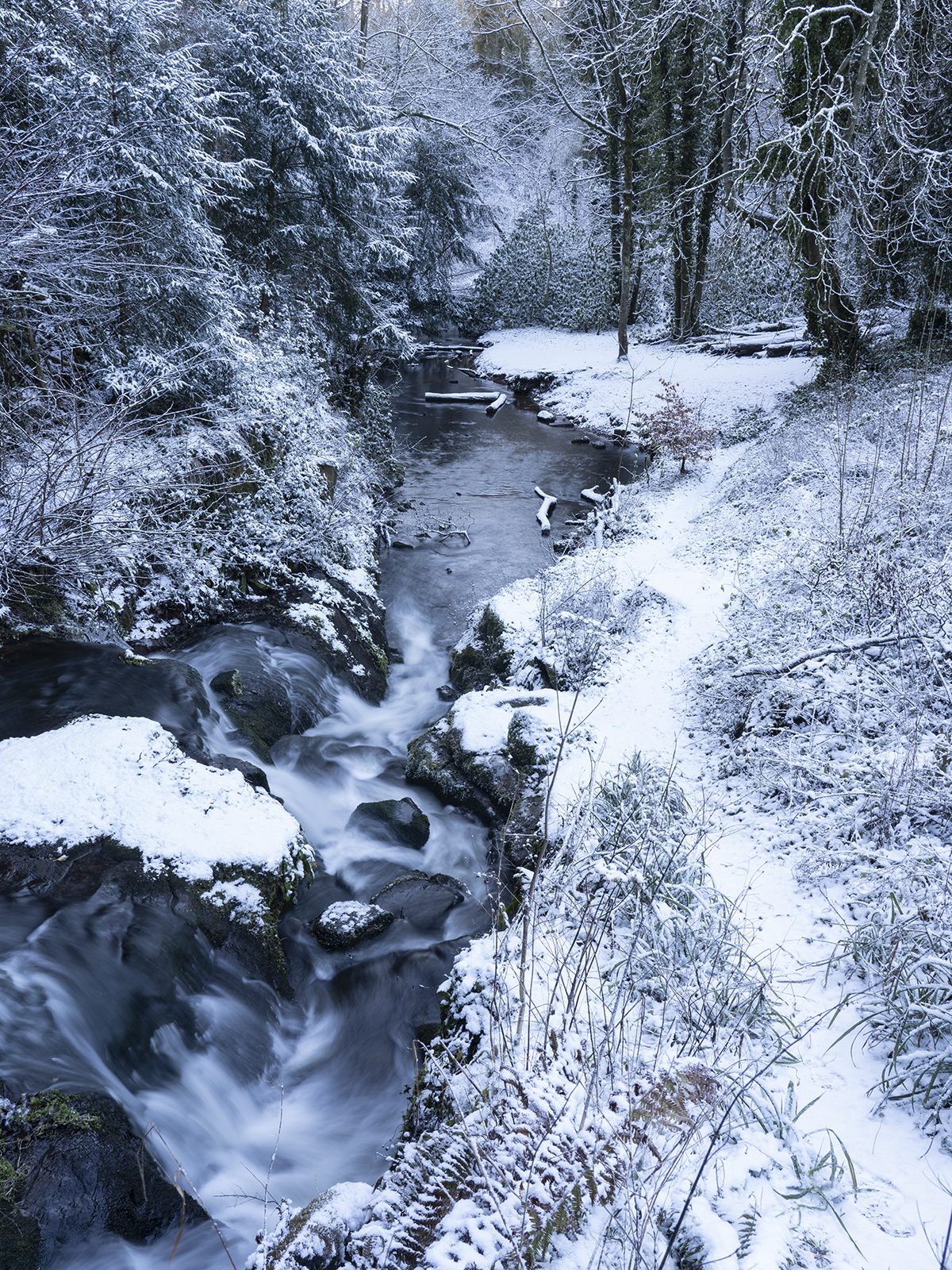 Planning episode 24-127.png