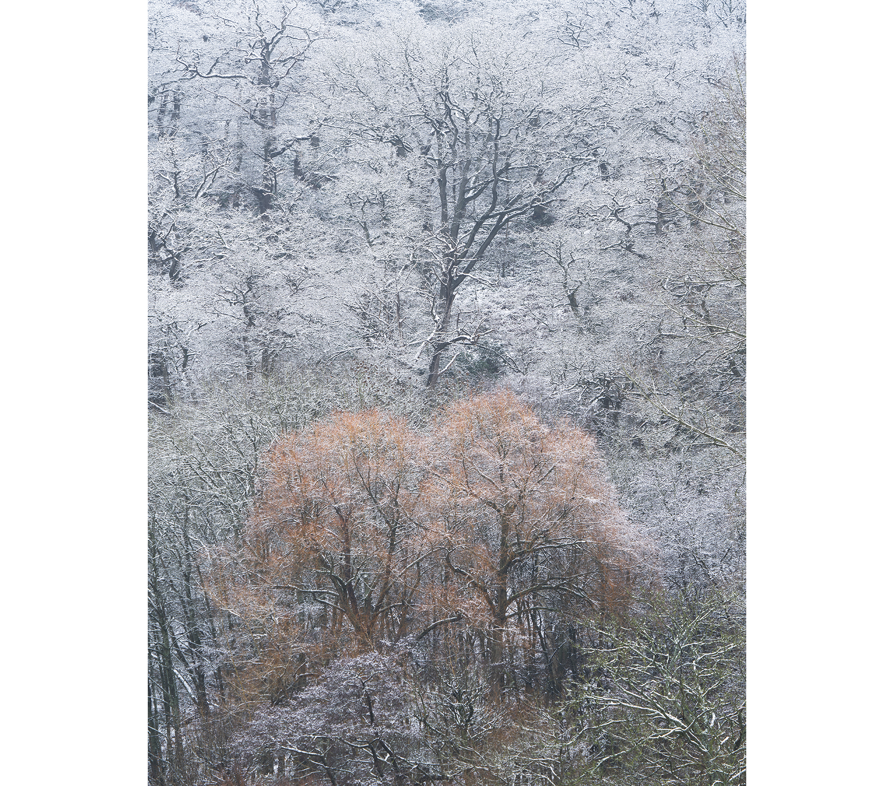 Dec 20-5838 copy.png