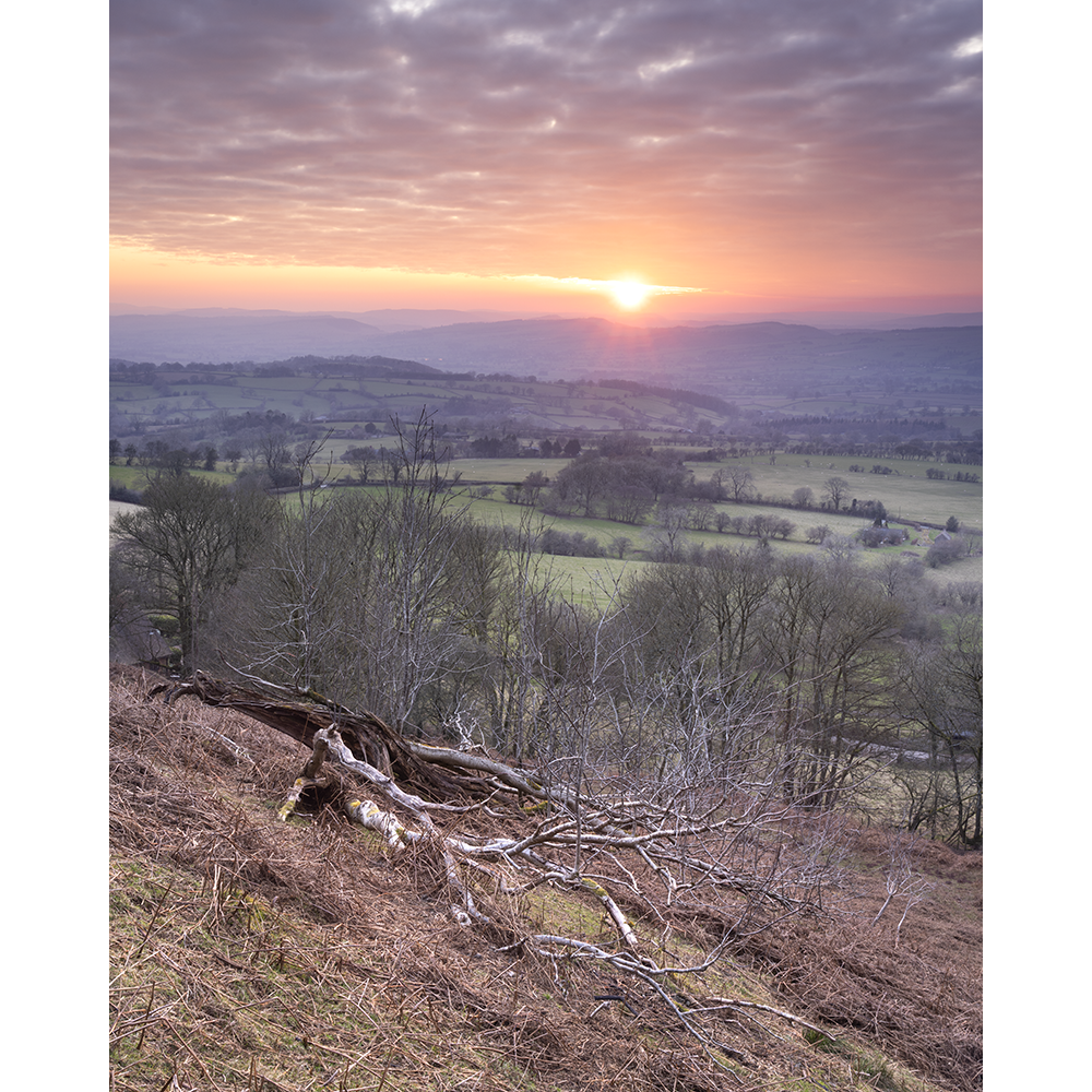 Spring Sunset, Corvedale.png