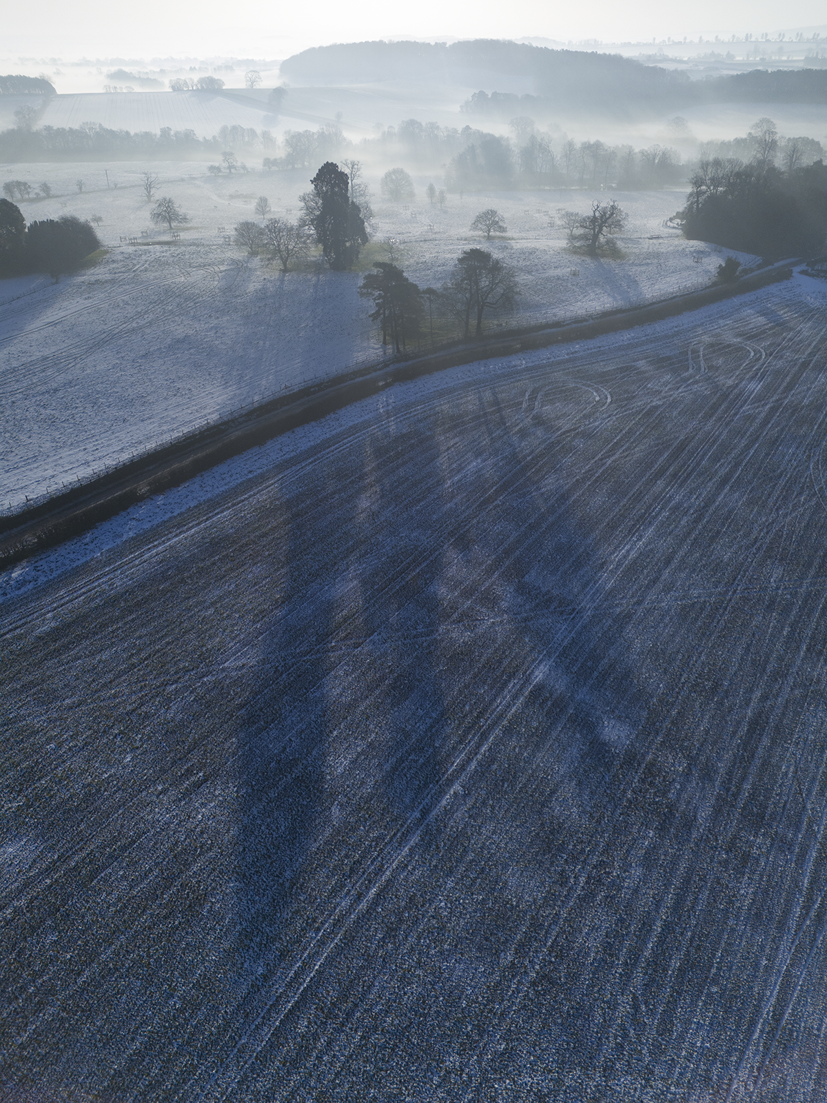 Local Project ep 25-86.png