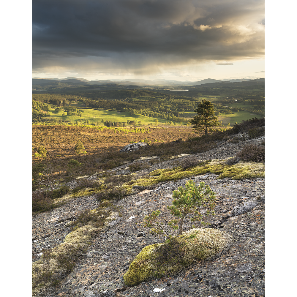 Spey Valley Sunlight.png