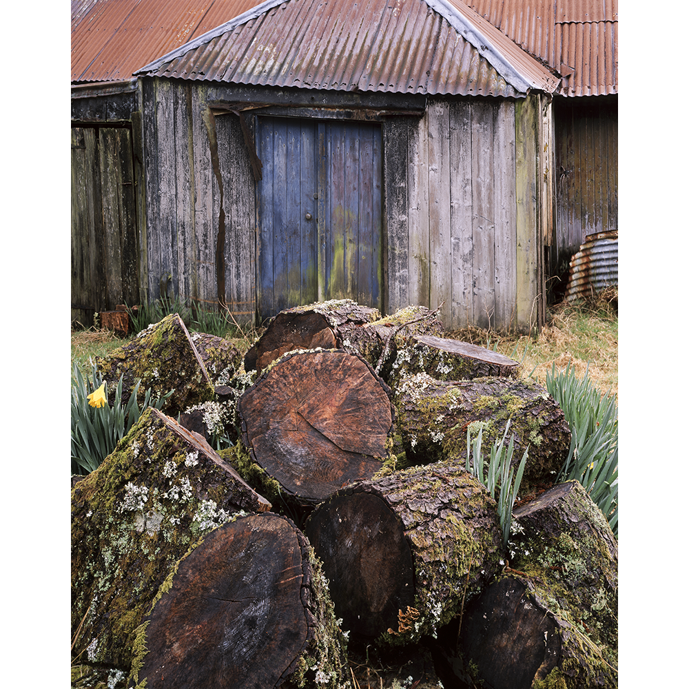 Two Wood Piles, Appin