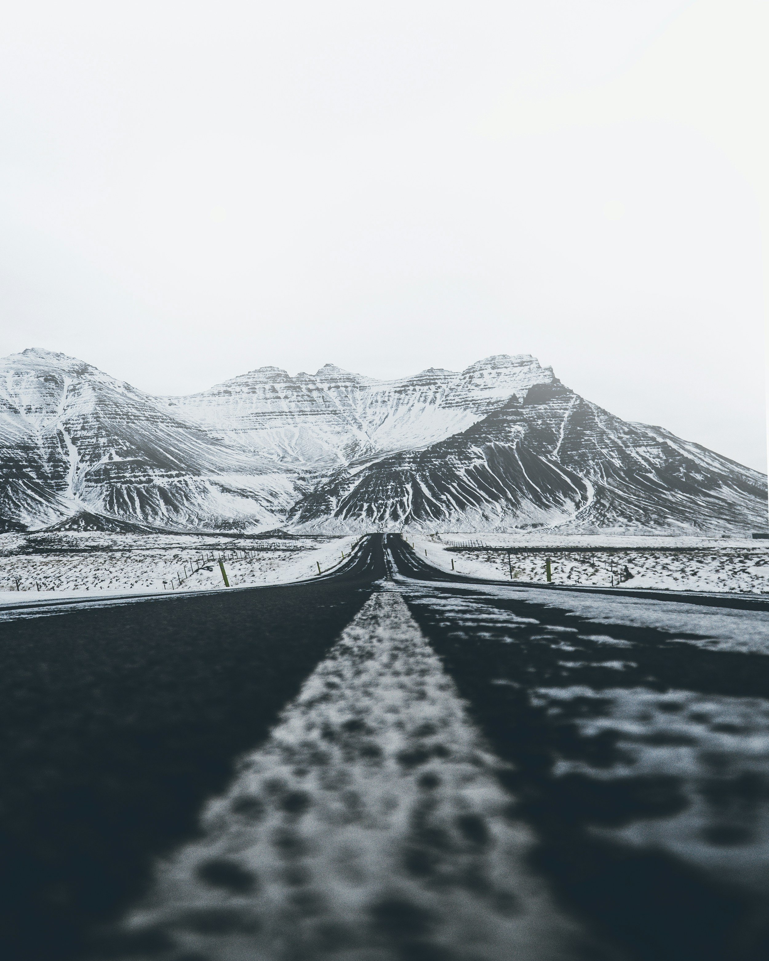 einar-ingi-sigmundsson-kPeG1lt_XRo-unsplash.jpg