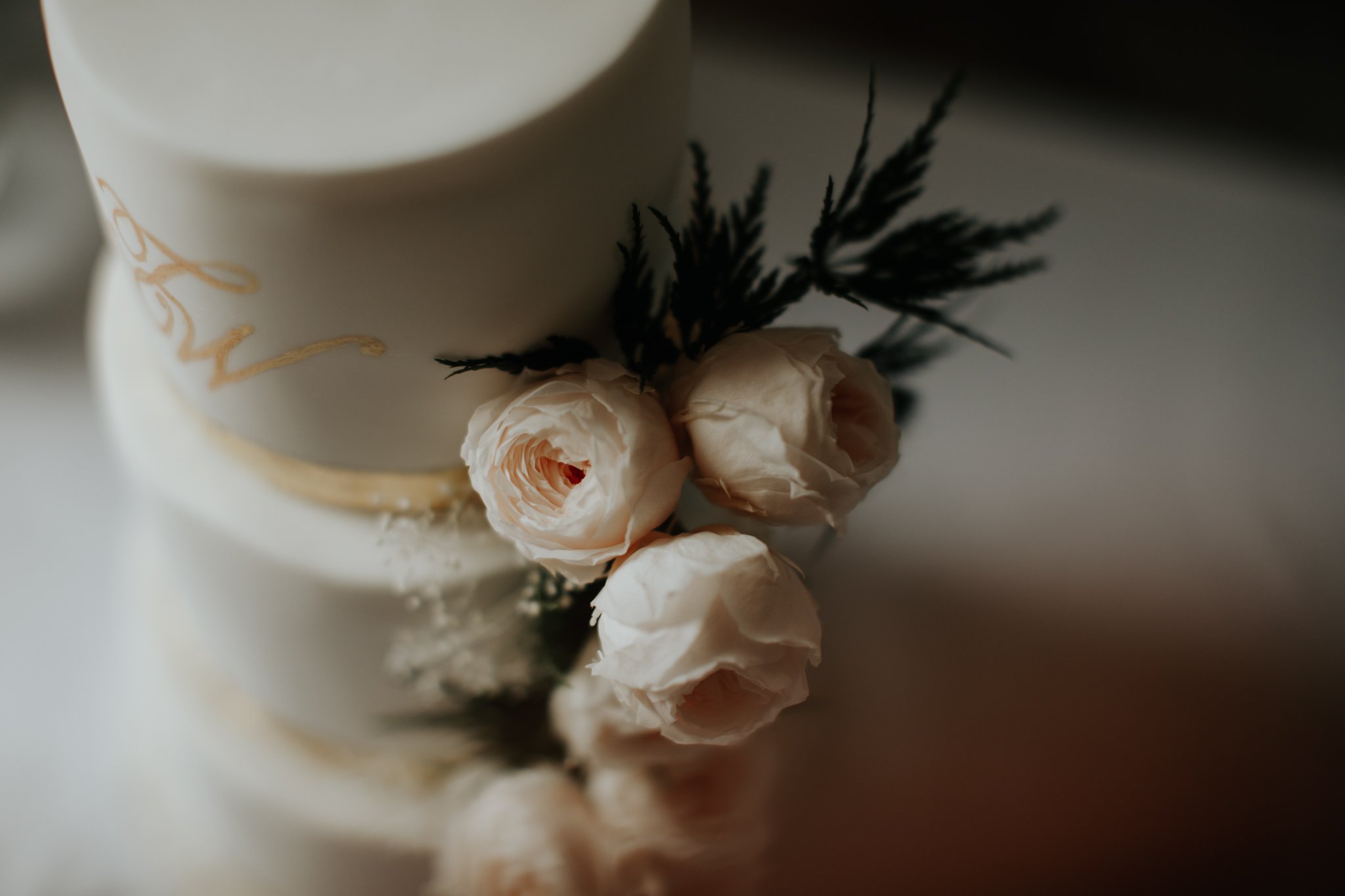 taniawilwedding-2.jpg