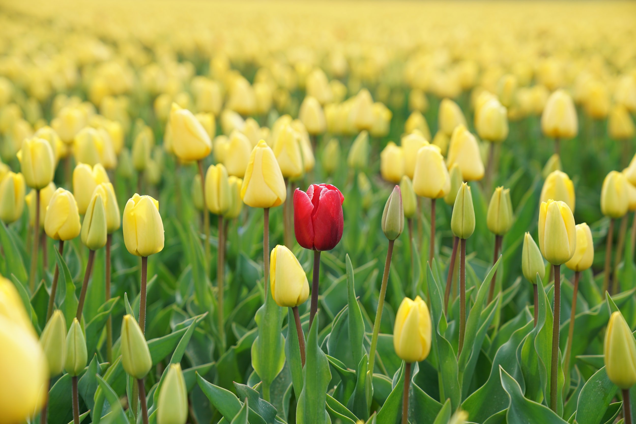 How to define your destination’s Unique Selling Proposition (USP)