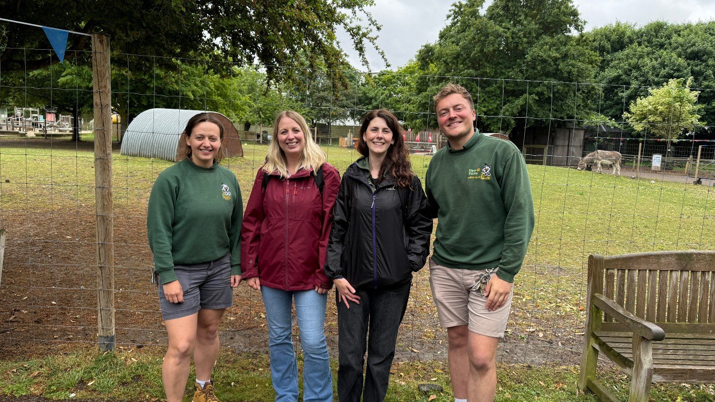 We've worked with @batterseazoo for over 3 years and we're pleased to say that despite all the projects and campaigns, their marketing is never 'done'. Which is as it should be.

TMC stepped in as an off-site team when they needed extra hands to help