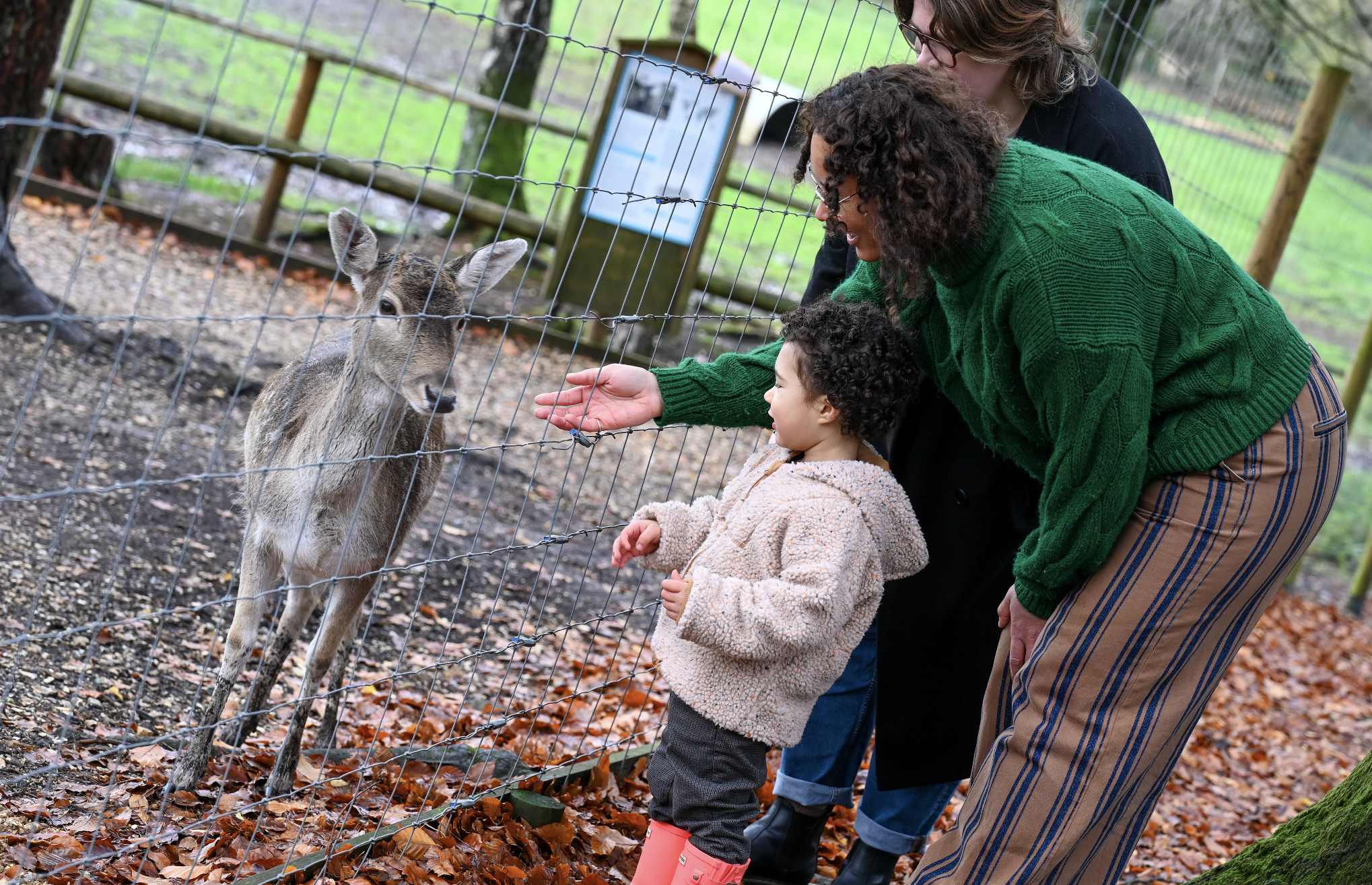 Most Families Decide on a Day Out Within a Fortnight. Is Your Marketing Ready?