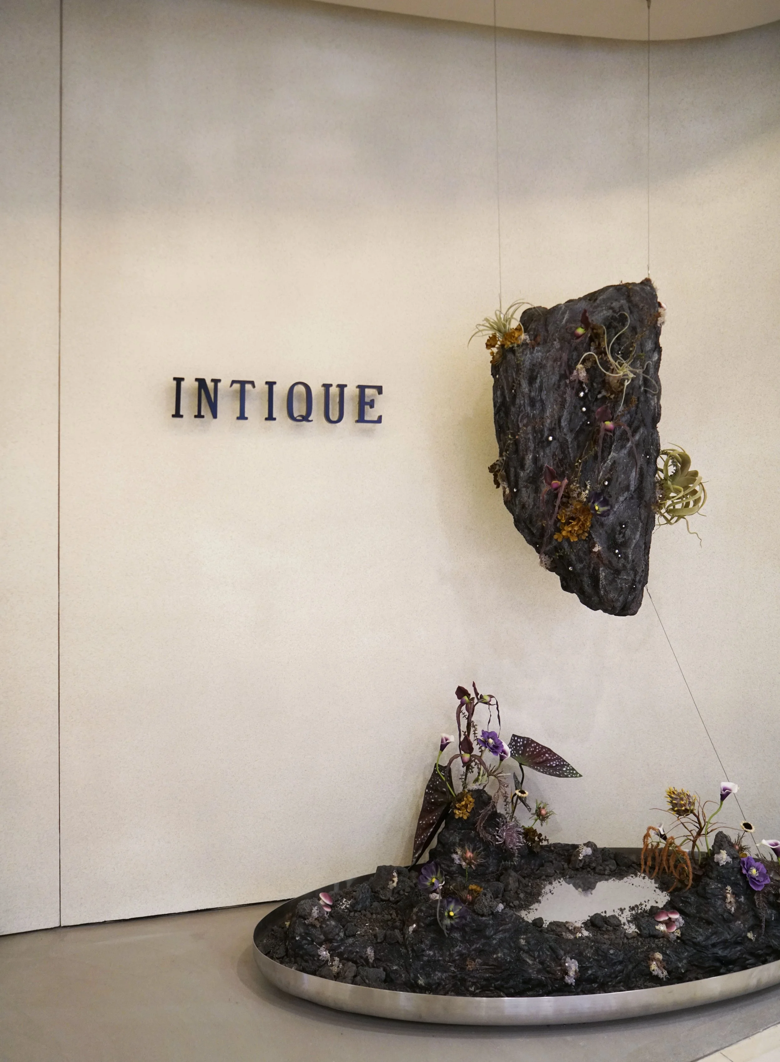 JAAK Design | Commerical Design Project in Citywalk | INTIQUE