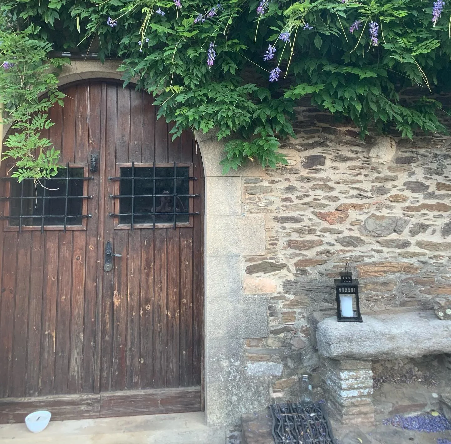 Abrimos nueva casa. 
YANAY ha encontrado un espacio propio donde echar ra&iacute;ces y expandirse. 
.
Una preciosa masia del 1900, rodeada de prados, bosques y monta&ntilde;a. 
.
Una familia que ya ven&iacute;a con ella: nuestro perro Thor y cuatro g