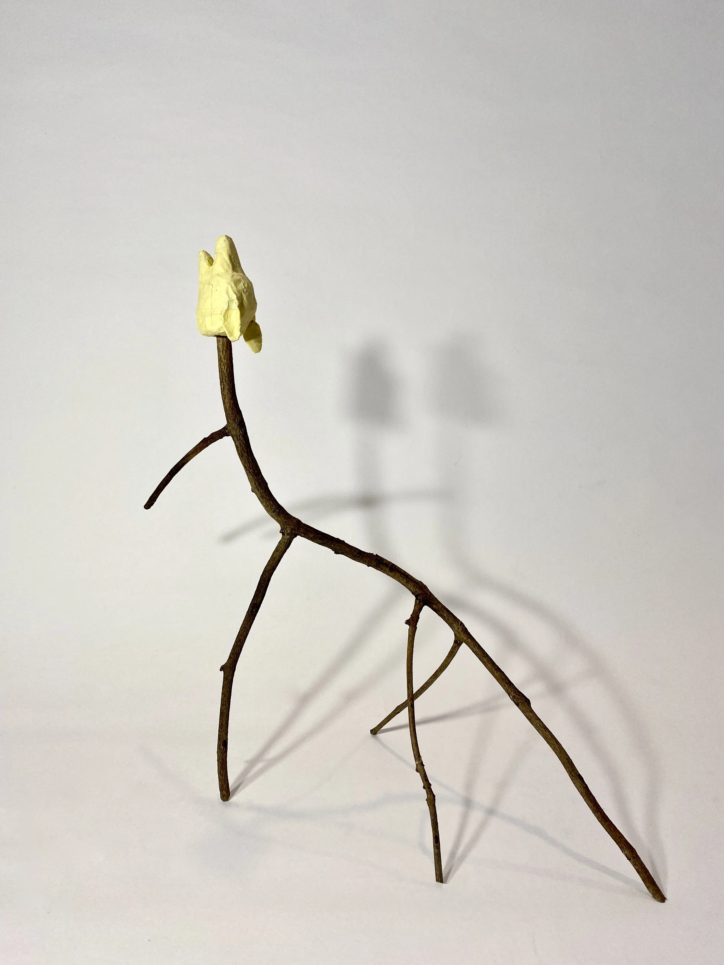 Twig Figure.jpeg